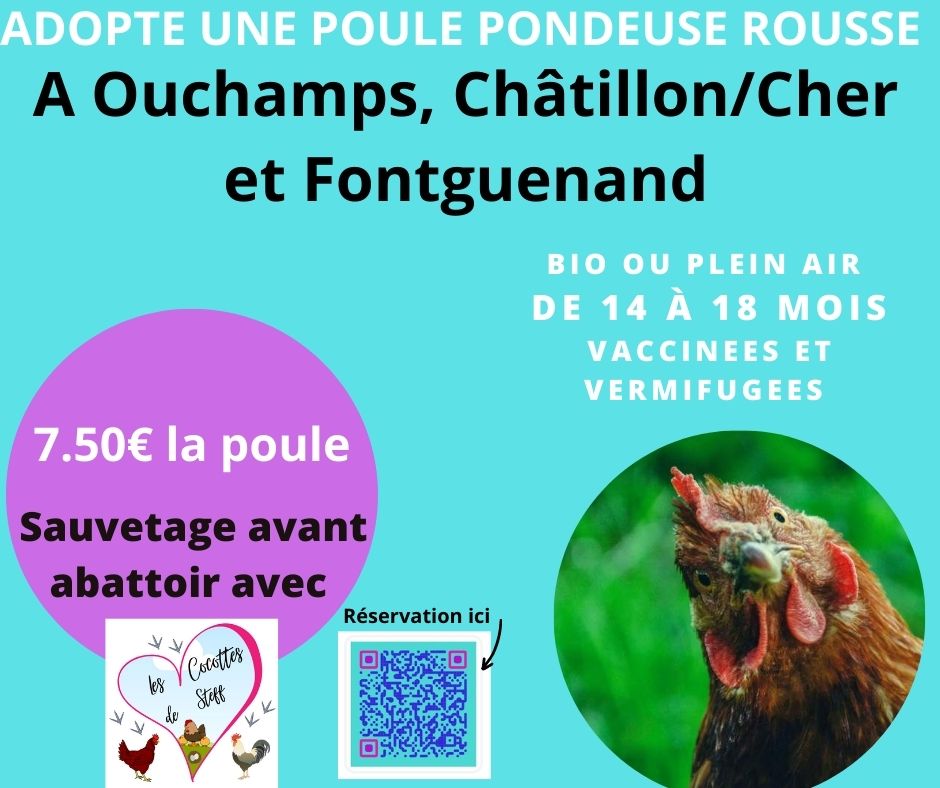 Les cocottes de Steff - Châtres sur Cher | Châtres-sur-Cher