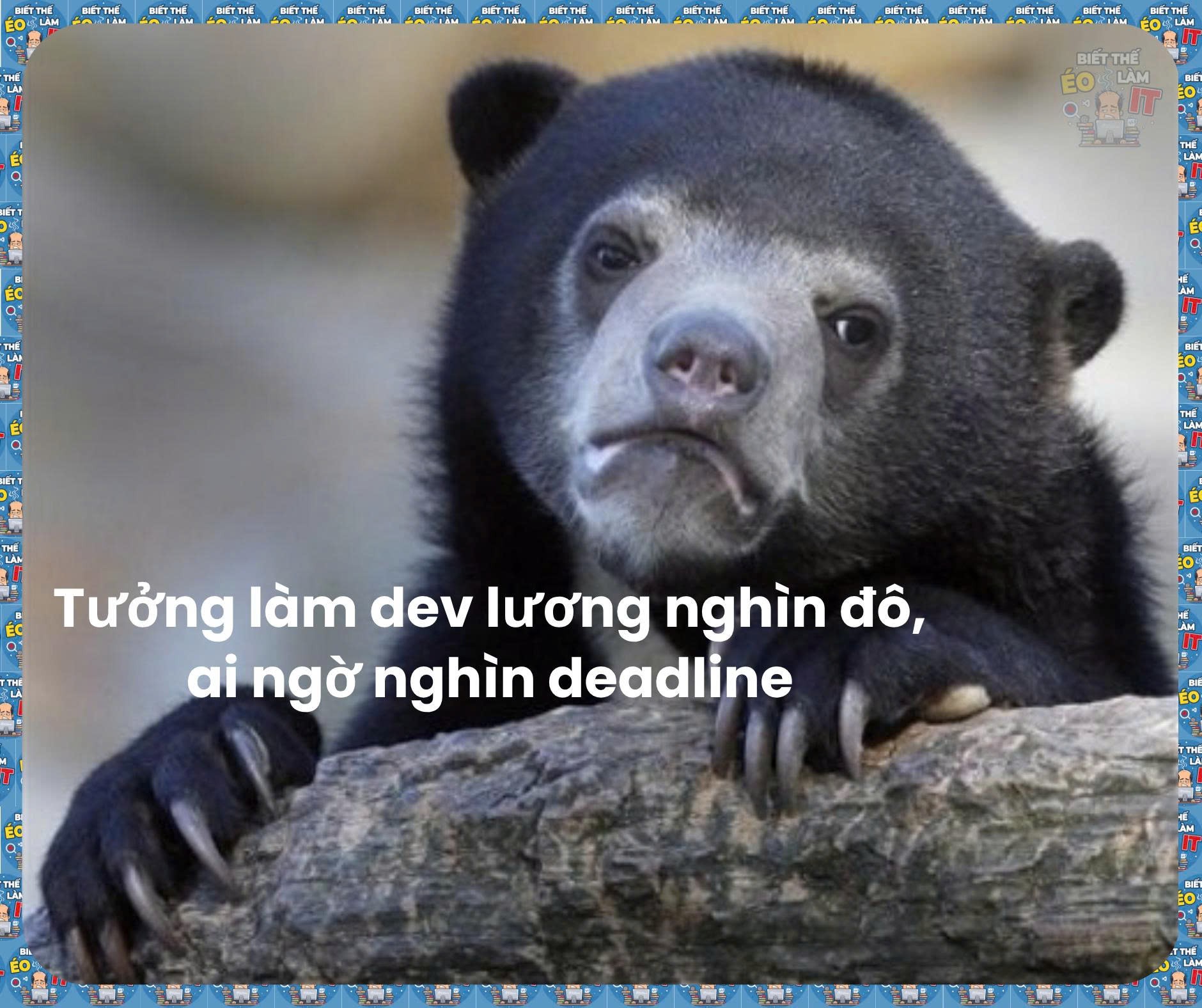 Cộng đồng Sinh Viên IT | Facebook