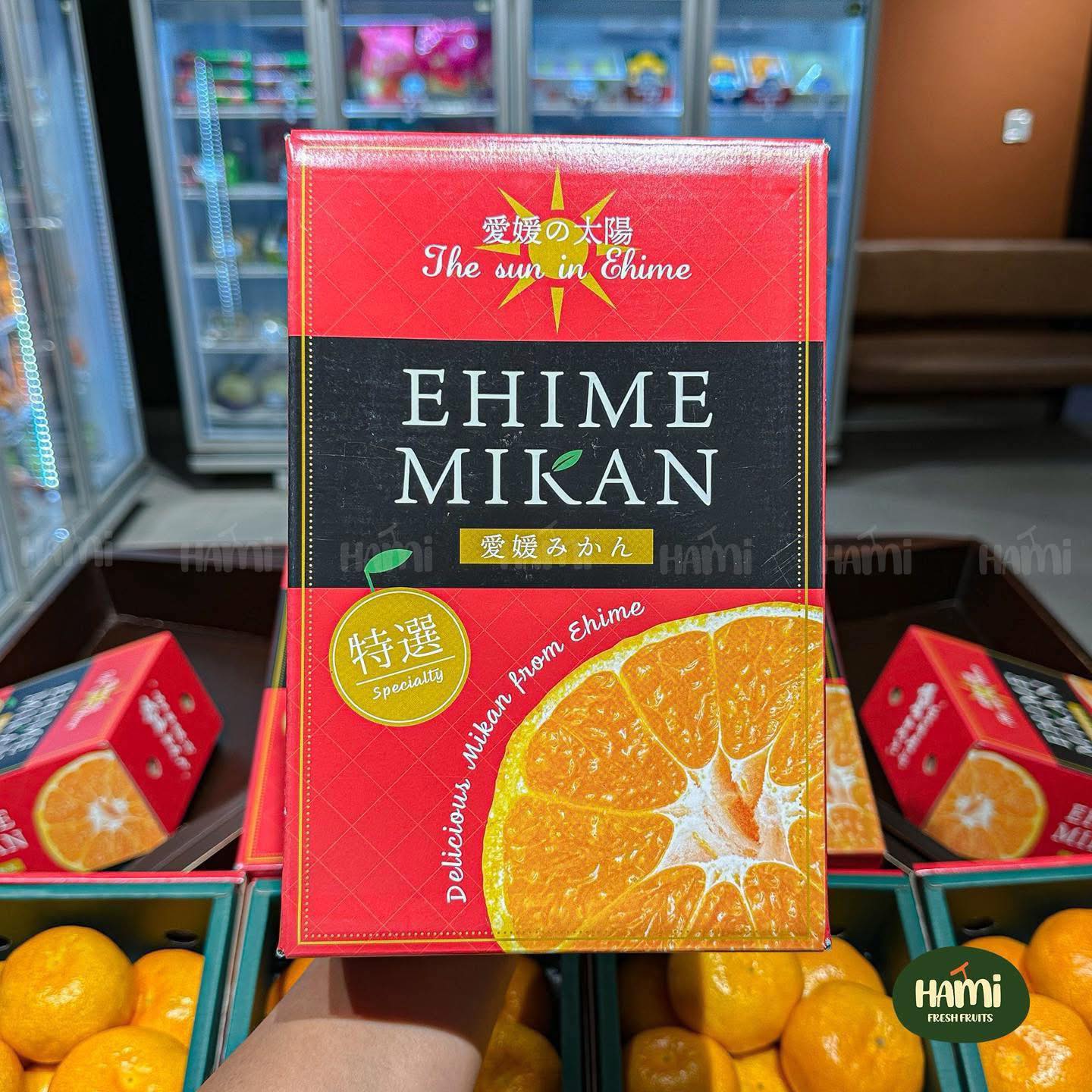 Japanese Ehime Mikan Gift Box 🍊🇯🇵 Mikan Gift Box from Ehime