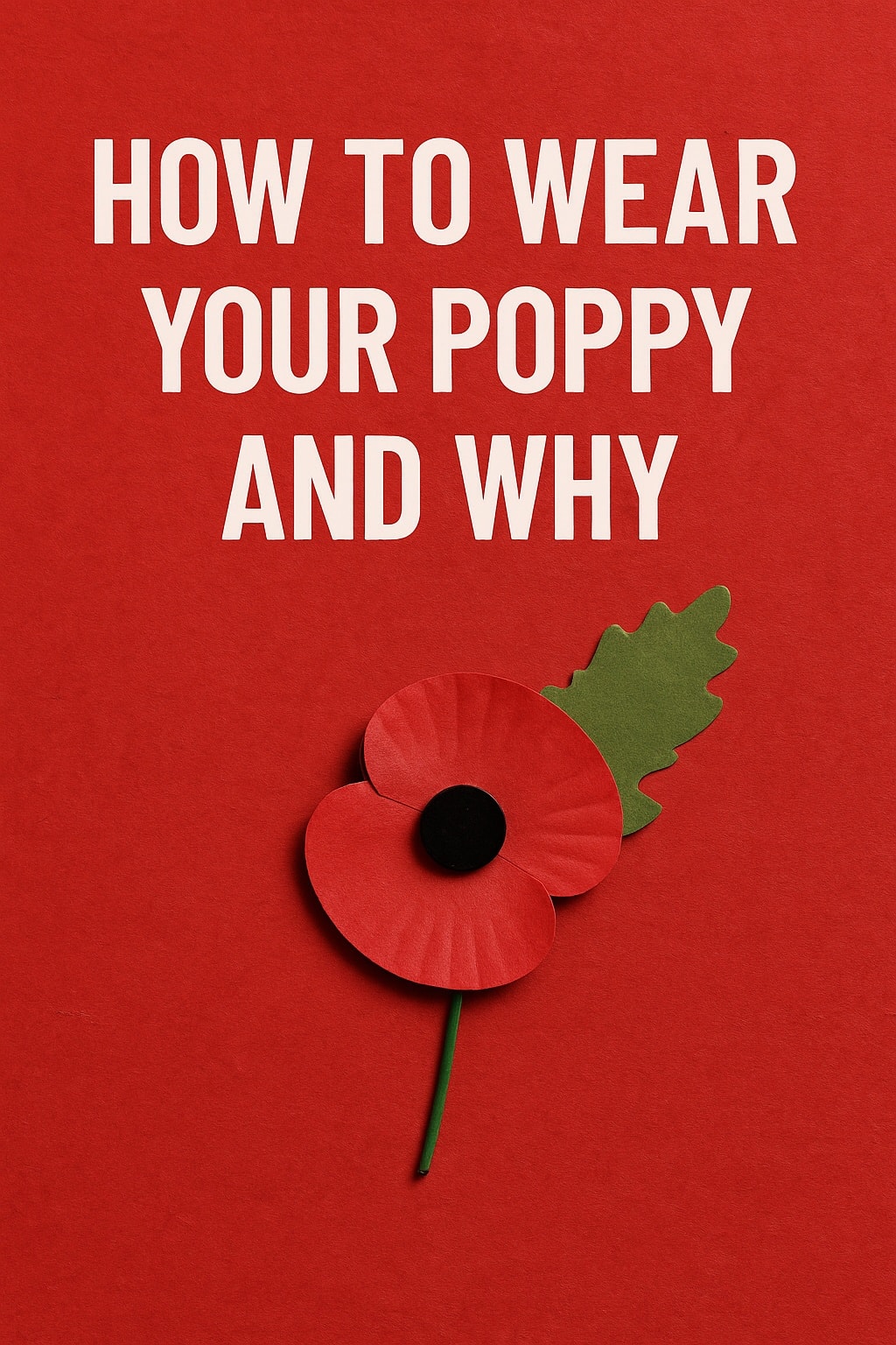 The Salaam - 🇬🇧🌺How to Wear Your Poppy — and Why It Matters🌺🇬🇧 Wearing ...