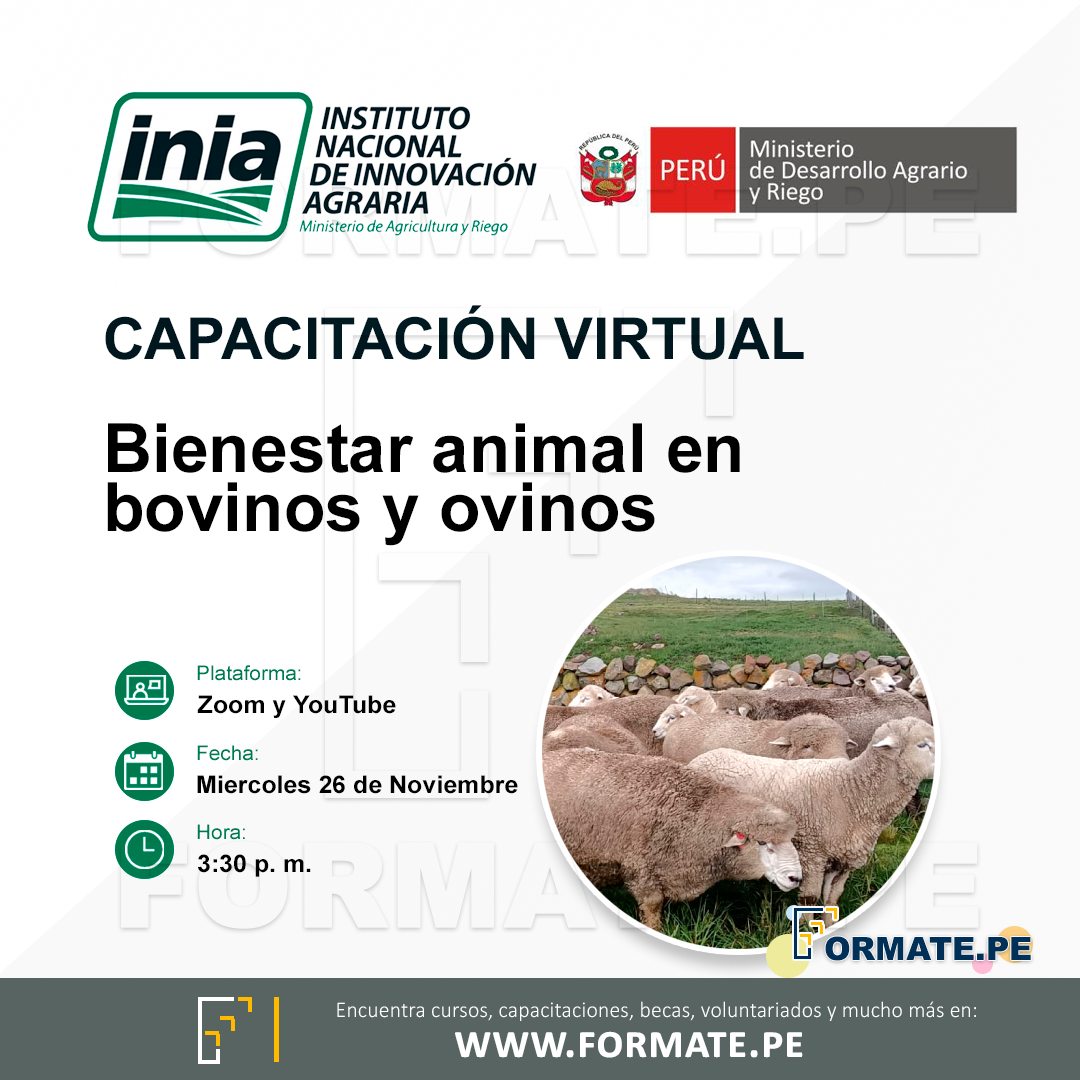 Convocatorias - Capacitación virtual: 