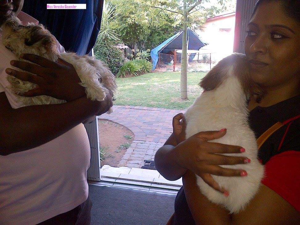 SPCA Rustenburg | Rustenburg