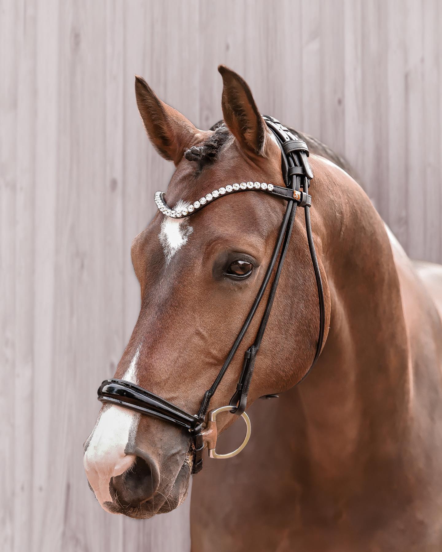 Horsecode