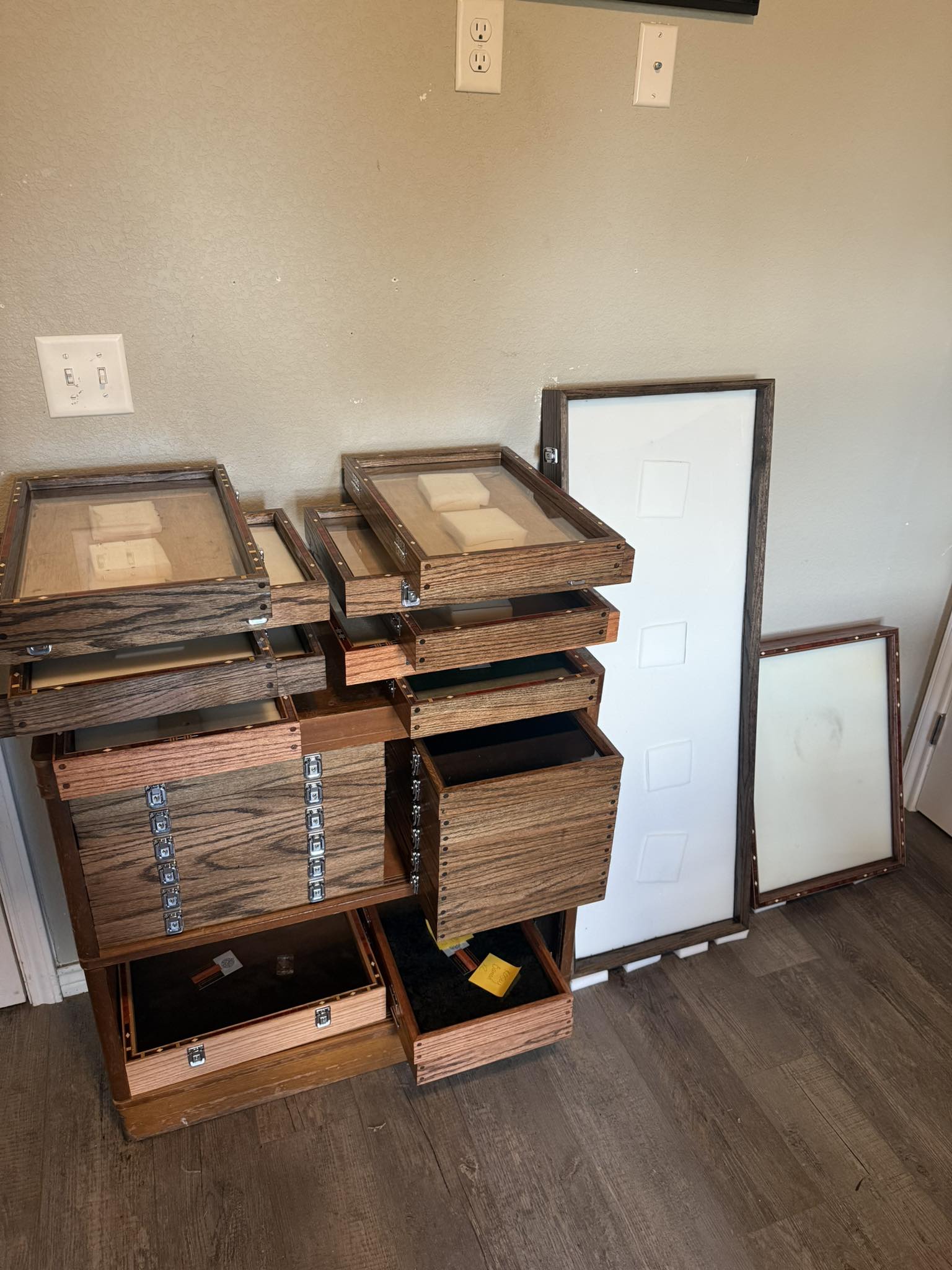 Southern Star Displays Walnut Wood Display Case 12x12x2 - Arrowheads, Knives, Collectibles