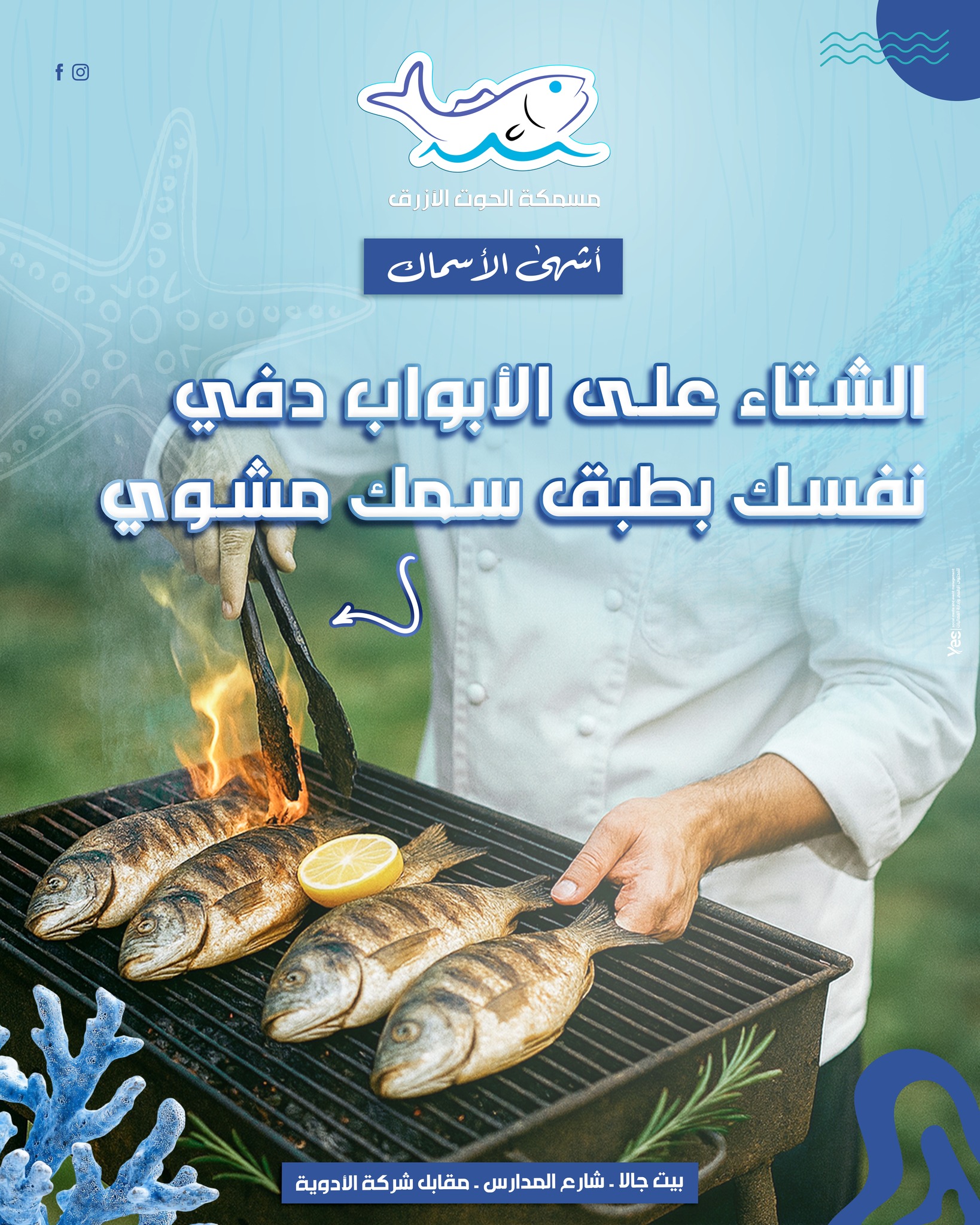 مسمكة الحوت الأزرق | Beit Jala