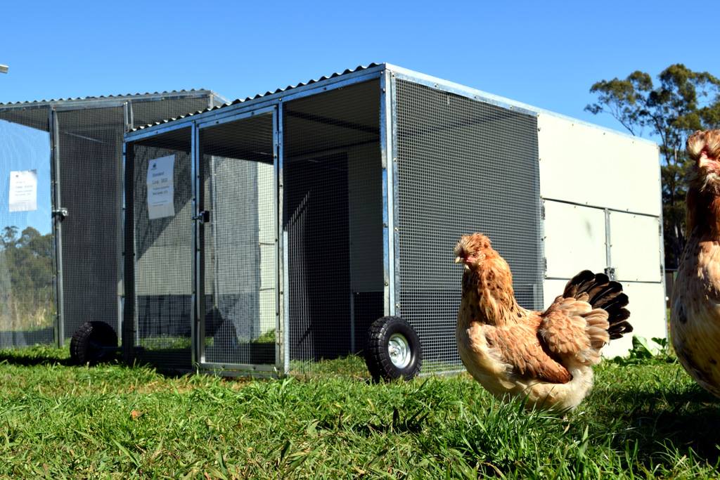 Northern Rivers Poultry