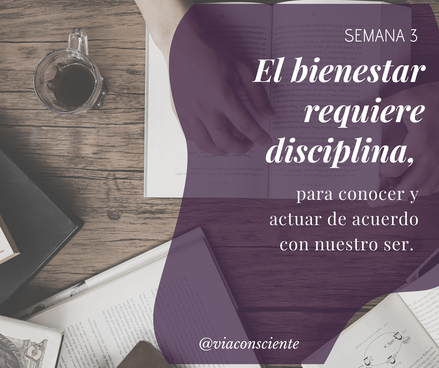 Vía Consciente