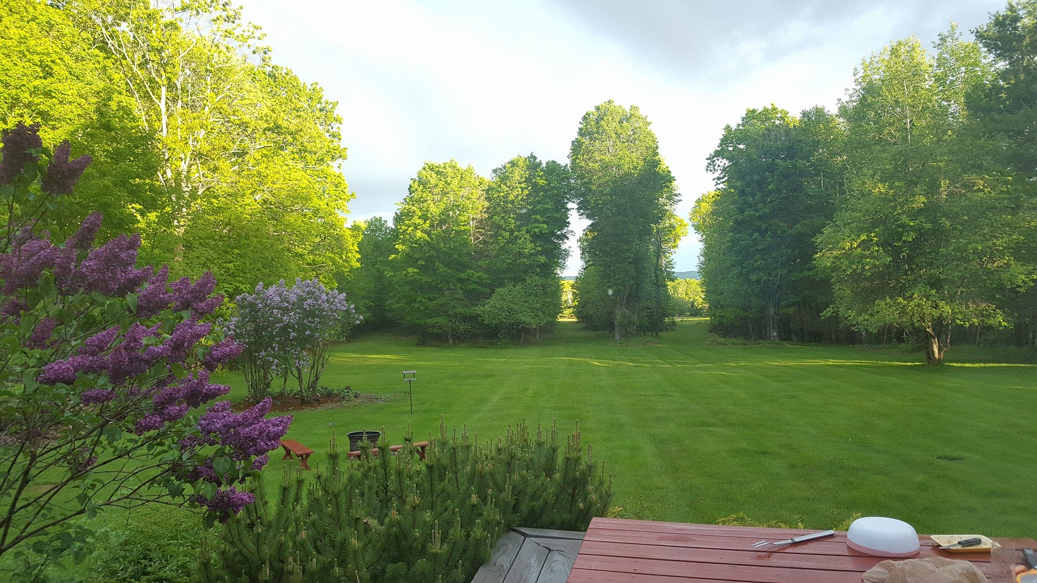 Exeter Nature Cabins | Exeter ME
