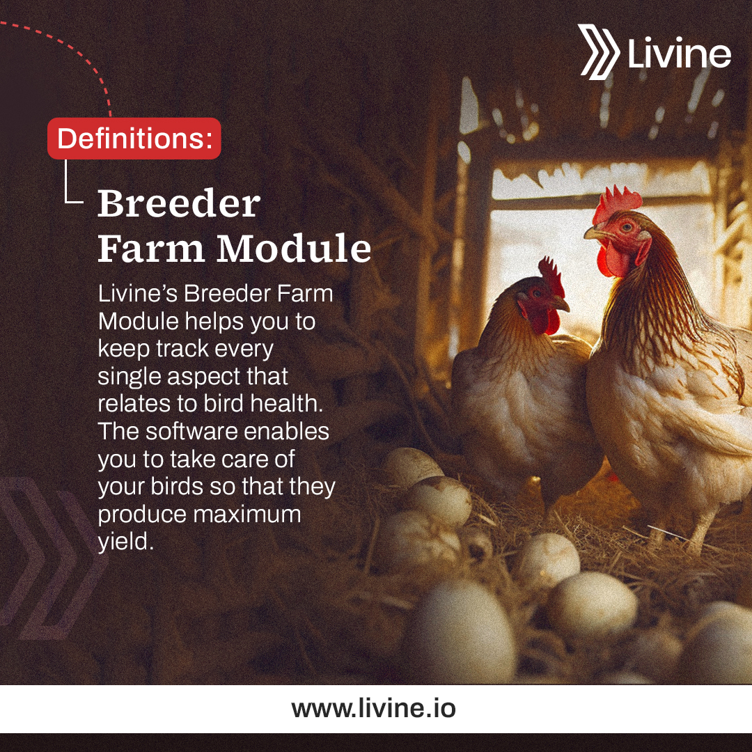 🚀 Our Breeder Farm Module is a... - Livine Poultry Software | Facebook