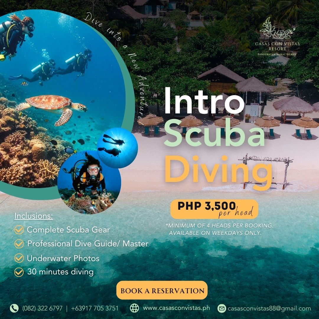 CASAS - Dive into a New Adventure! Discover the beauty beneath ...