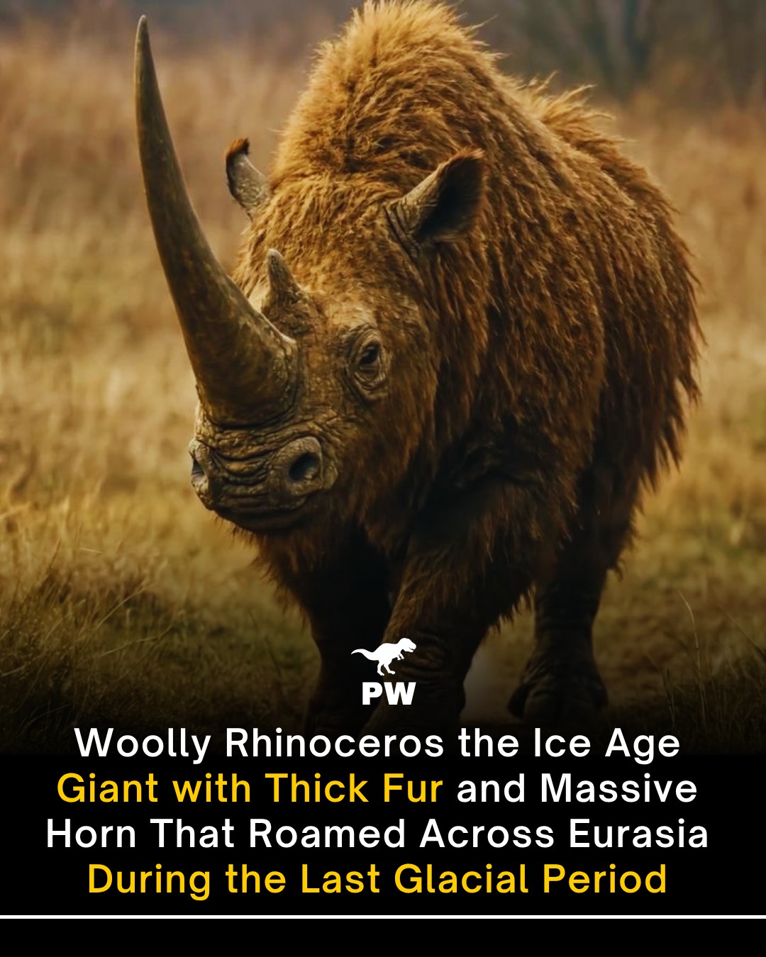 The Prehistoric - The woolly rhinoceros was a true icon of the Ice Age ...