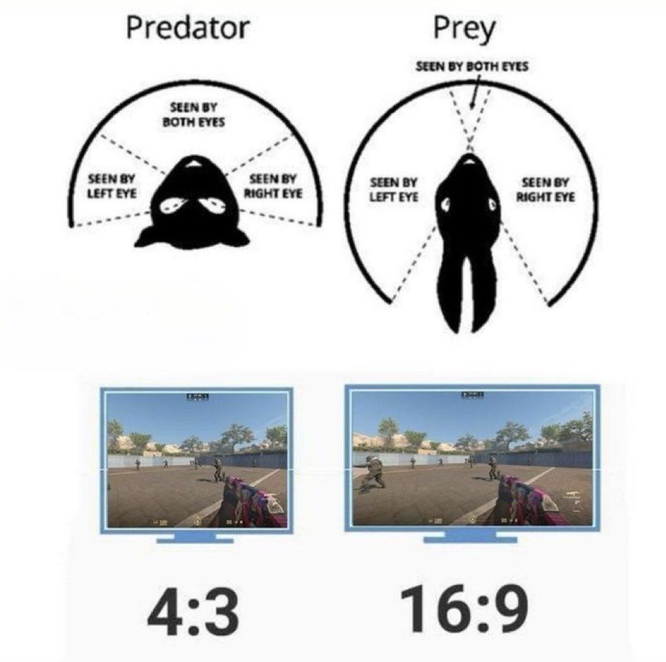 The Real - Why do all the Pros play 4:3 or stretched resolution in ...
