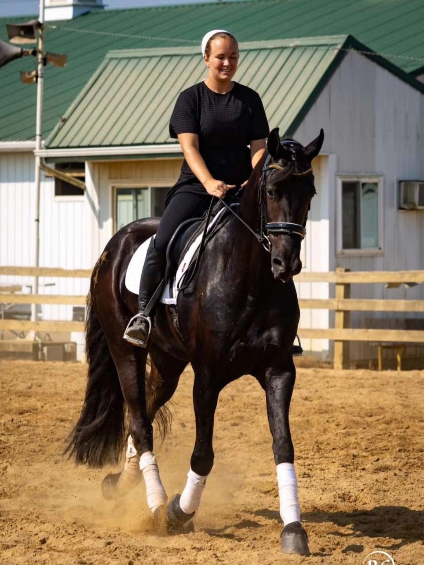 Friesian Heritage Drill... - Friesian Heritage Drill Team