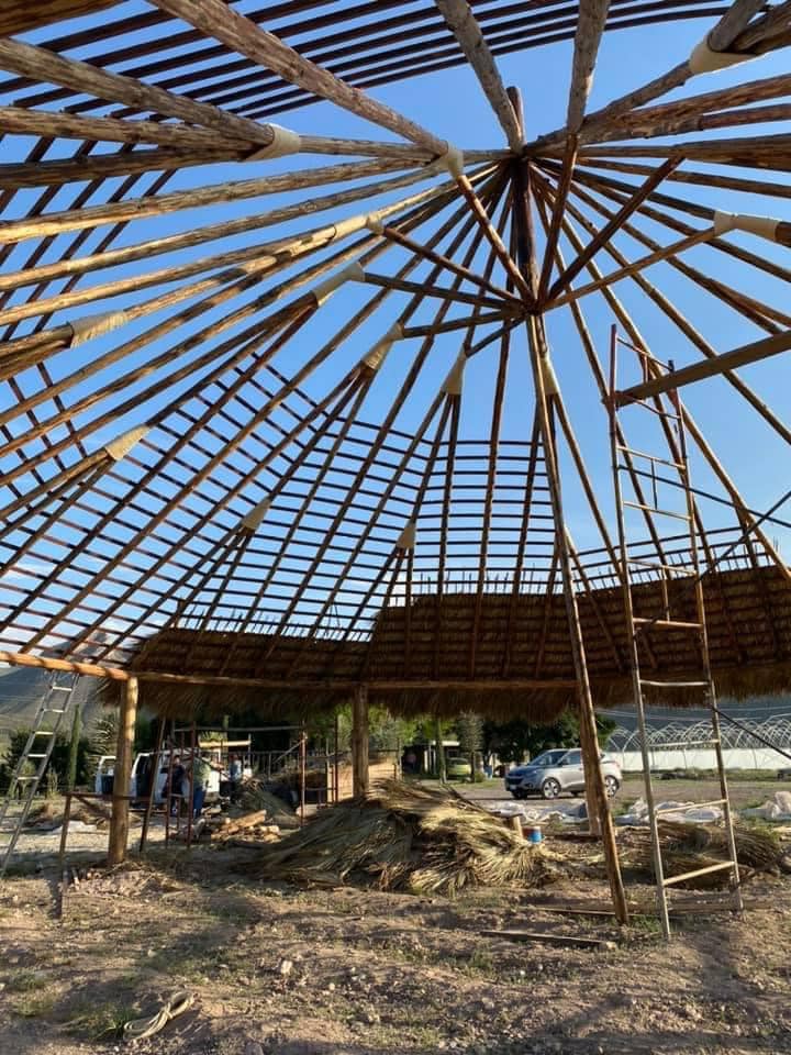 Construcción de Palapas