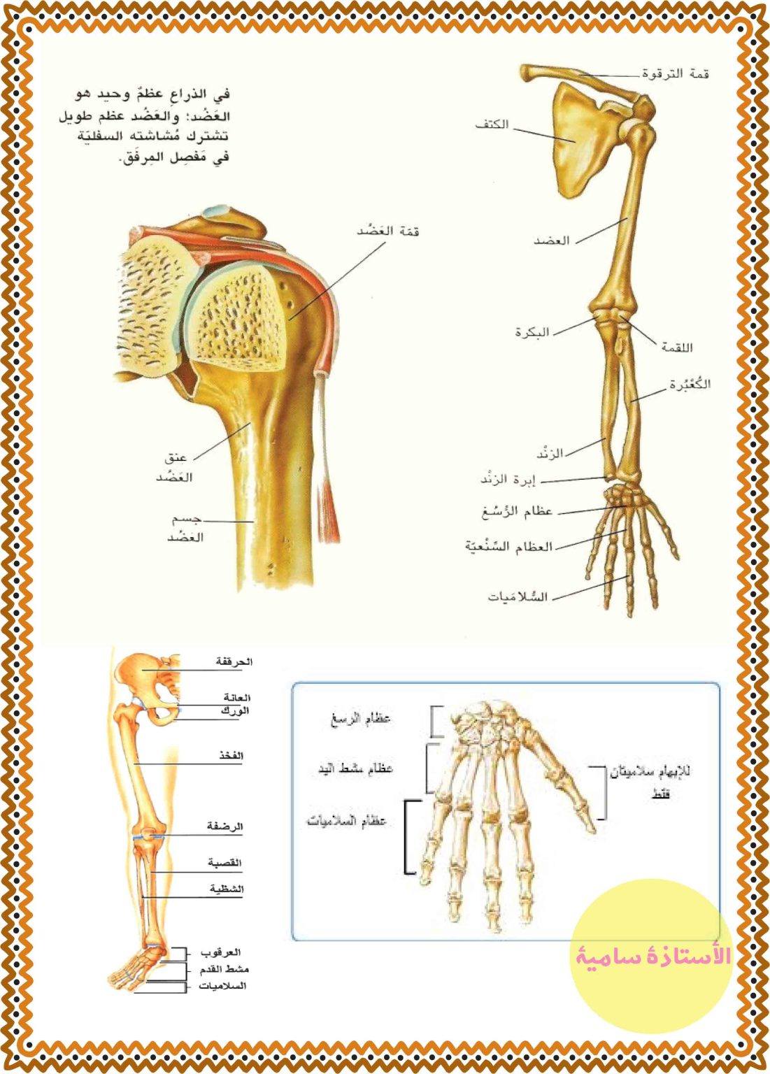 قراية صغيري - ‎قراية صغيري‎ added a new photo.