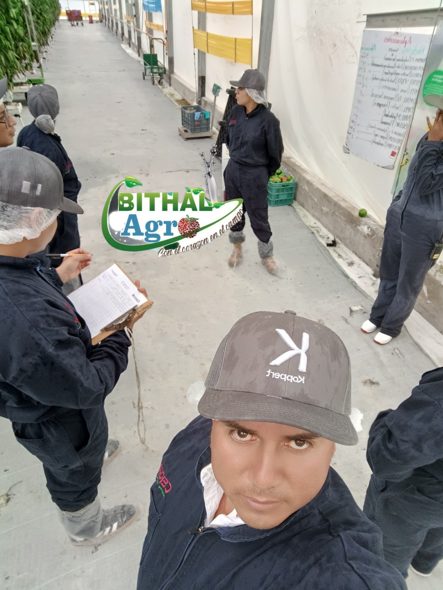 Bithal Agro - Queremos expresar nuestro más sincero... | Facebook