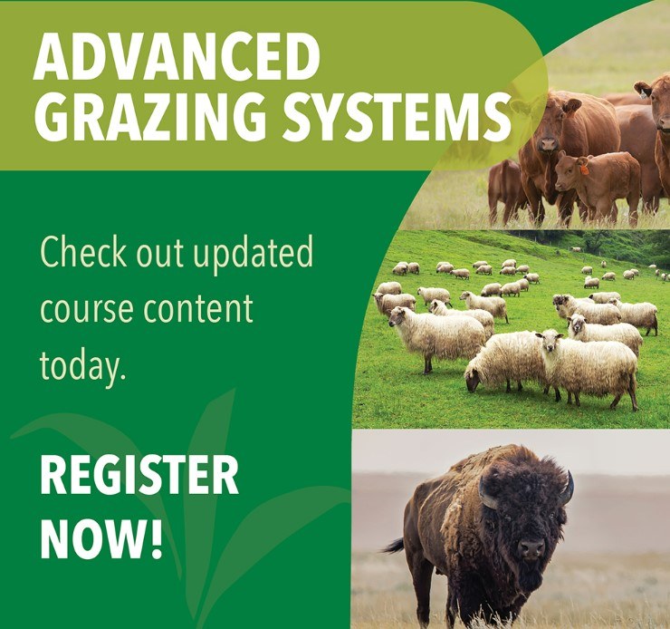 Alberta - Have you ever wondered about rotational grazing and how it ...