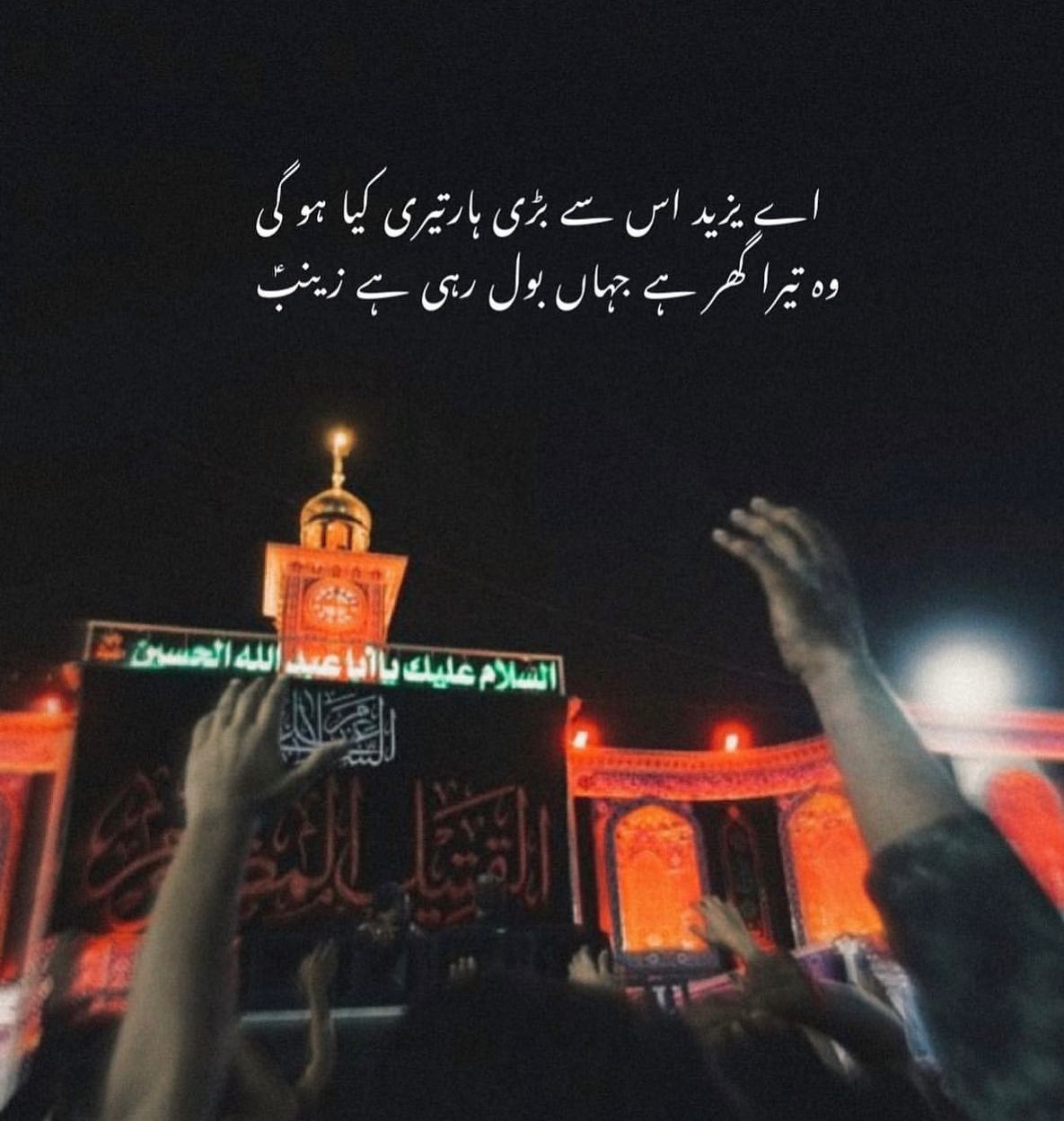 Servant_of_ahlabait - بی بی زینبؐ 🙏💫 #arbaeen #اربعین #arbaeenwalk - # ...