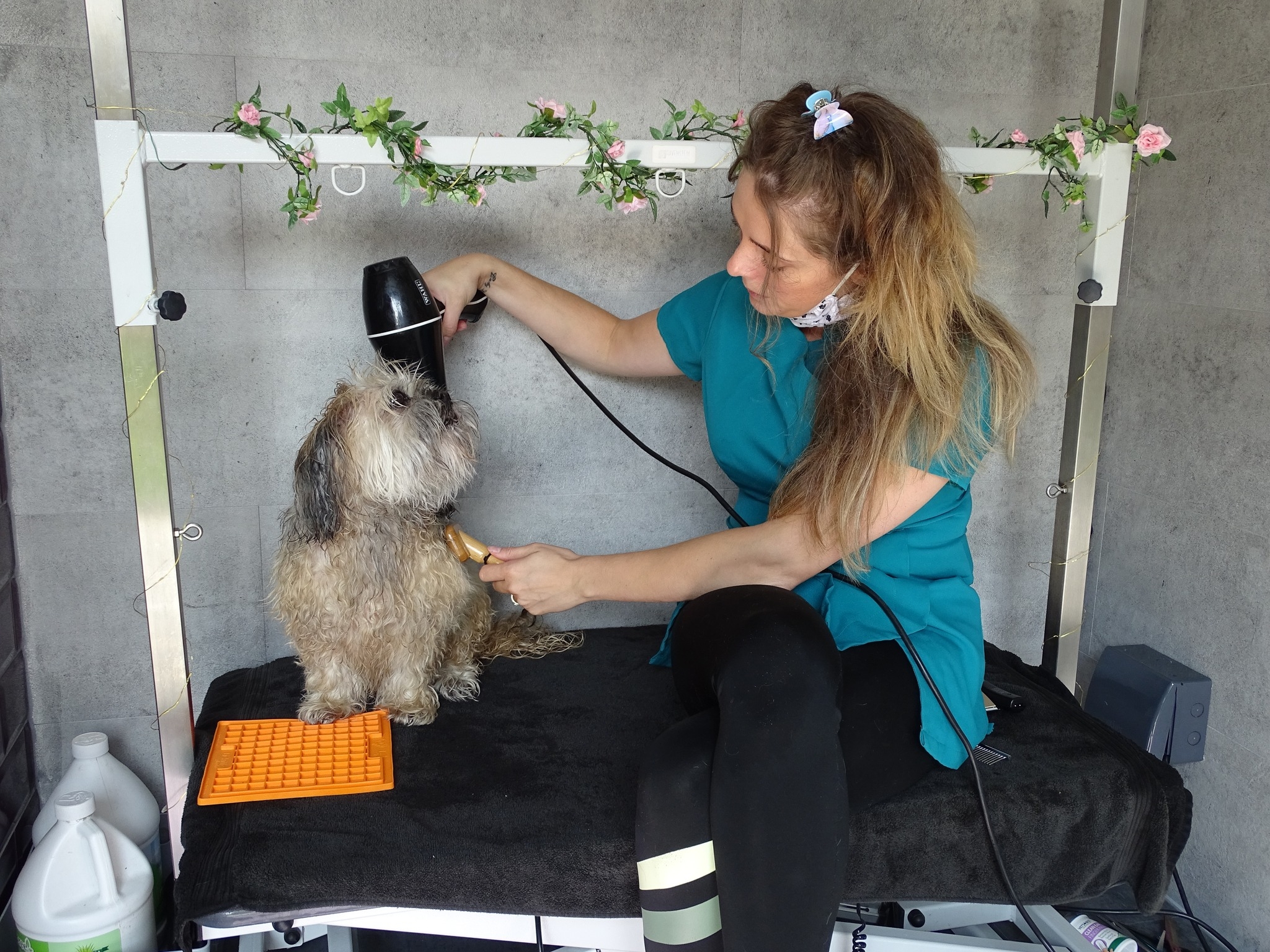 Thumbnail for Aida Calm Dog Grooming Petner