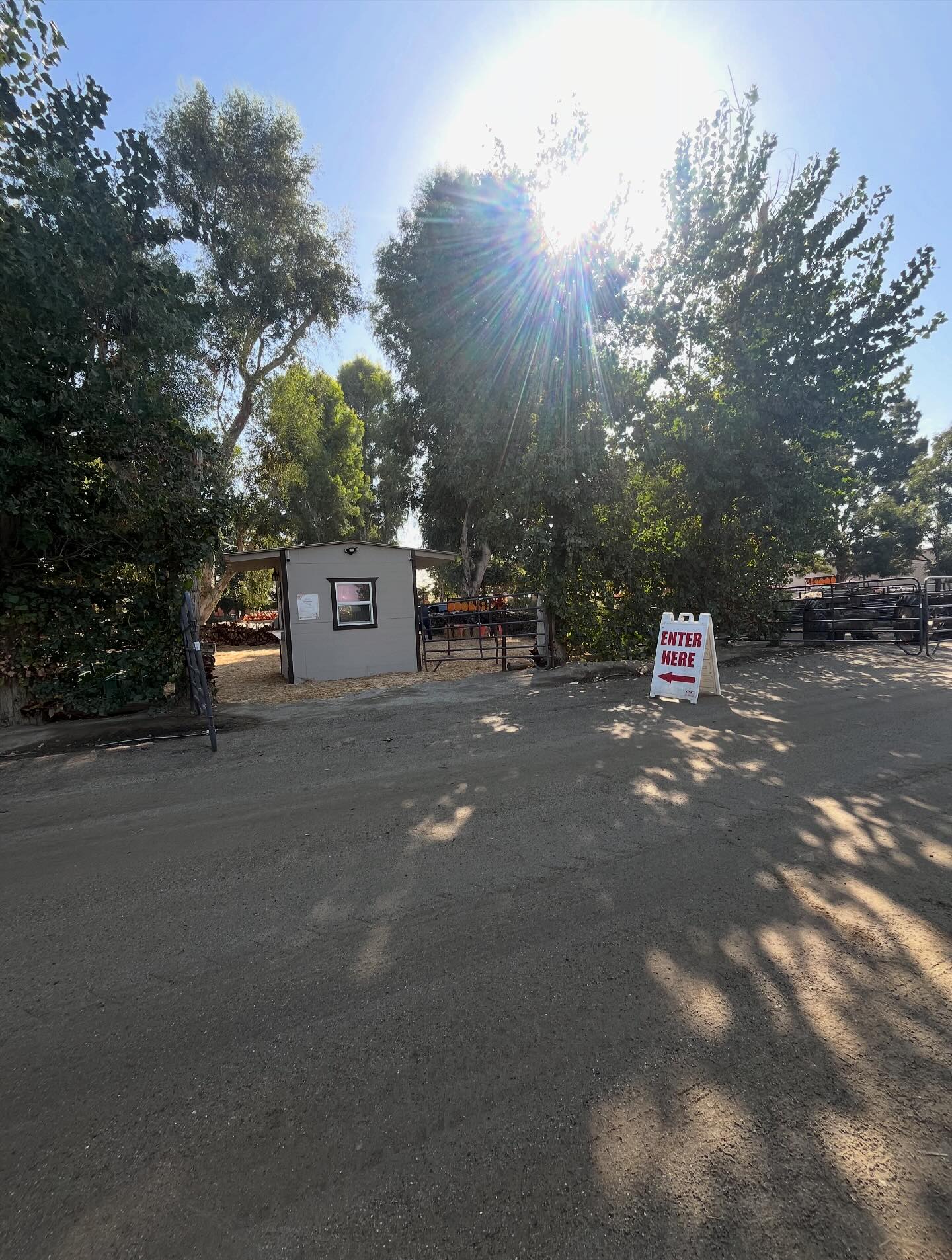 Banducci's Family Pumpkin Patch | Bakersfield CA