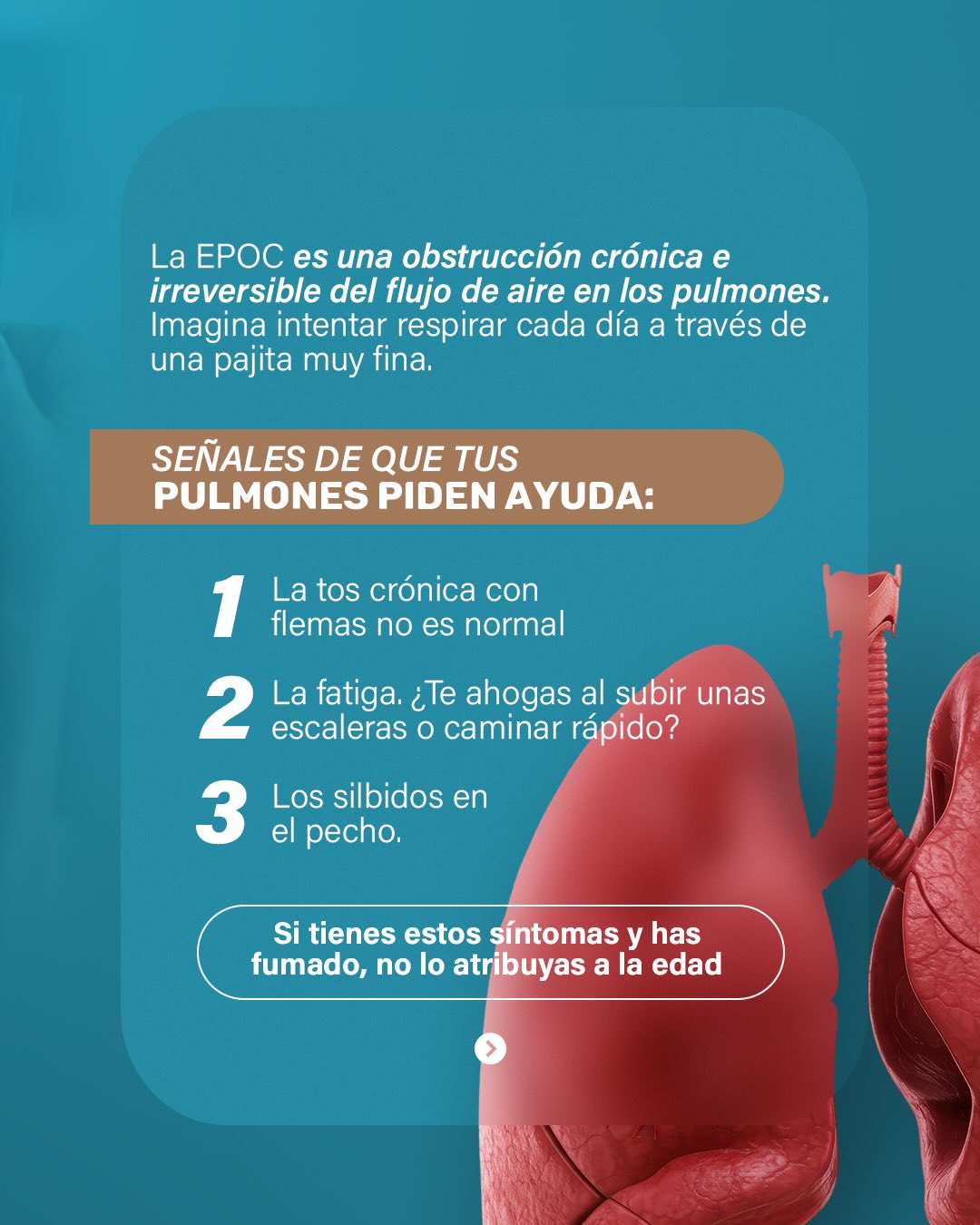 Cenimef | Maracaibo