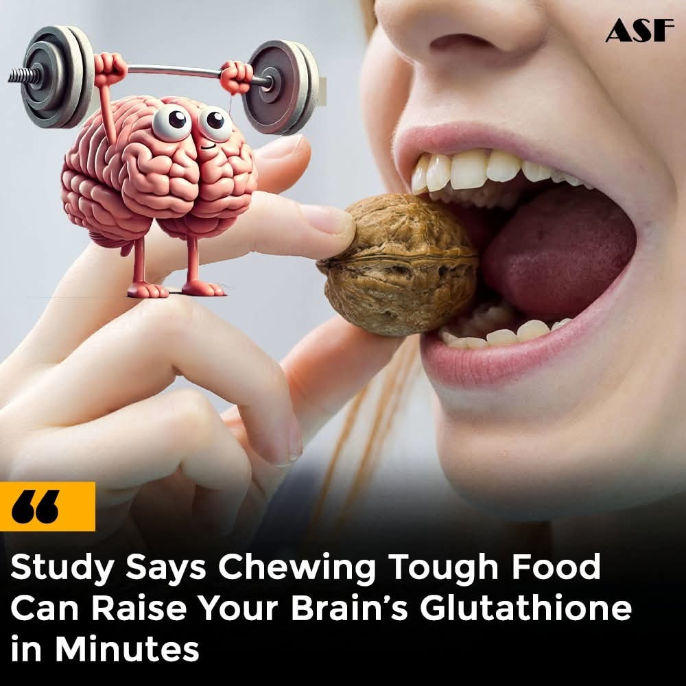 Motivation Is Affected by Oxidative Stress, but Nutrition Can Help Higher levels of glutathione in the nucleus accumbens correlated with better and more steady performance in motivation-based tasks. Findings suggest improvements in