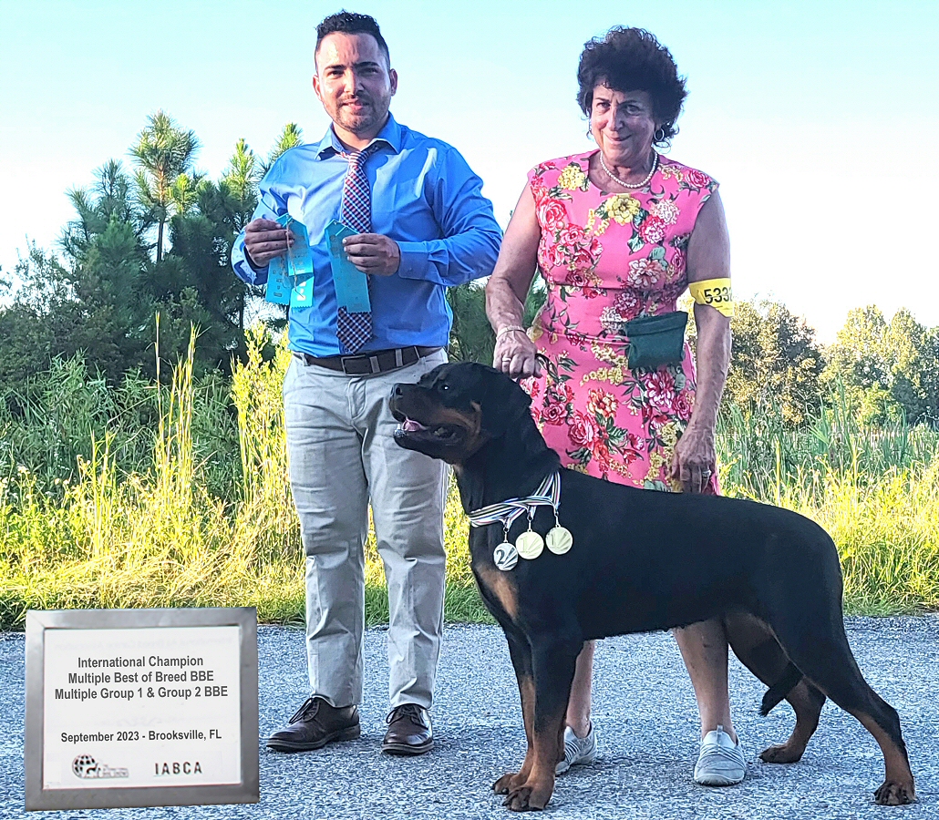 Von Evman Rottweilers | Groveland FL