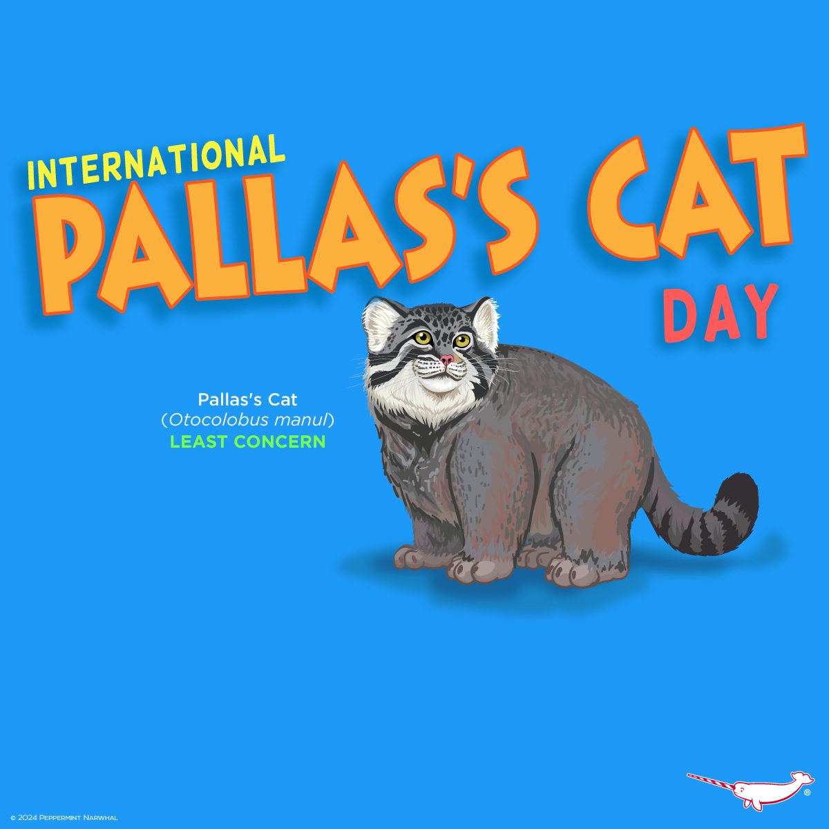 peppermint-narwhal-creative-happy-international-pallas-s-cat-day-did
