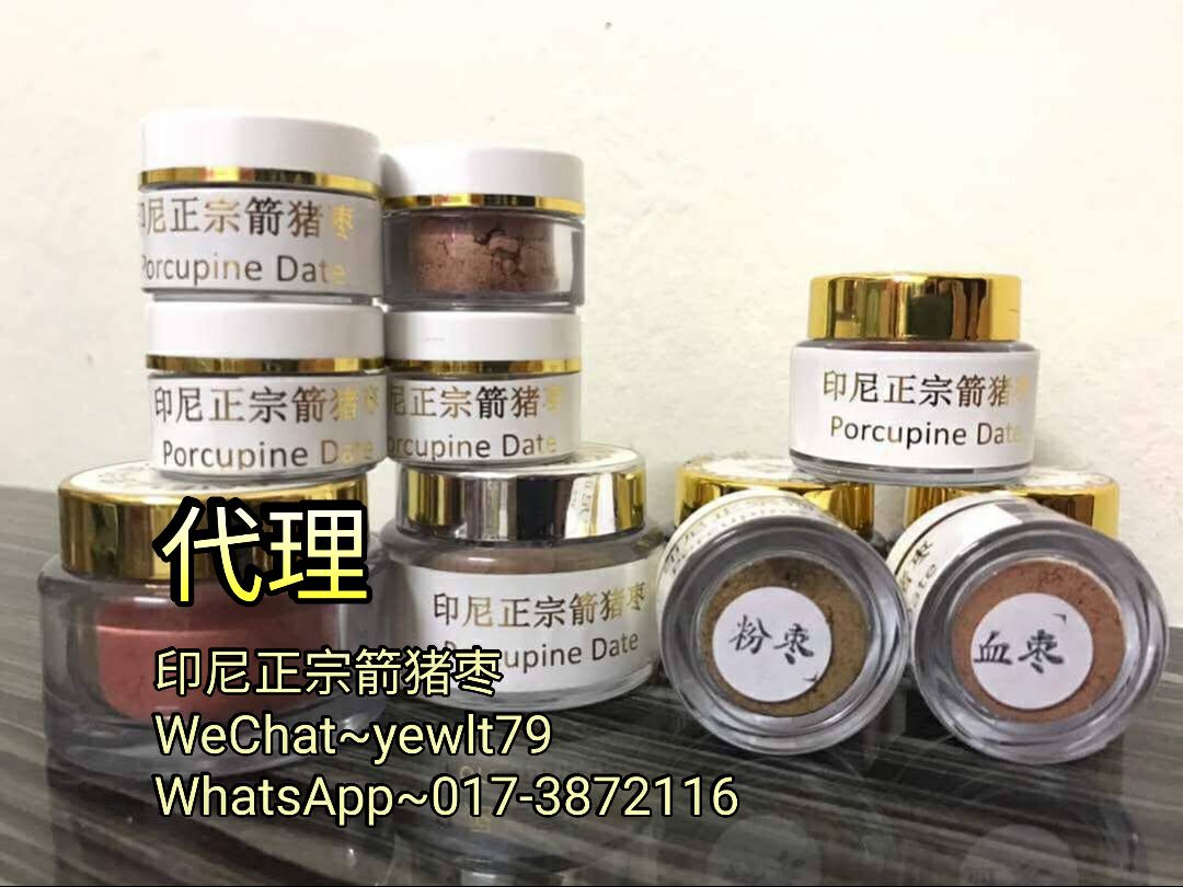 豪猪枣/河猪枣/箭猪枣（ - 印尼顶级火山血猪枣货真价实！！人人吃的起！！！回馈社会！！纯正印尼顶级火山血猪枣，绝无取巧...不敢说是100% ...