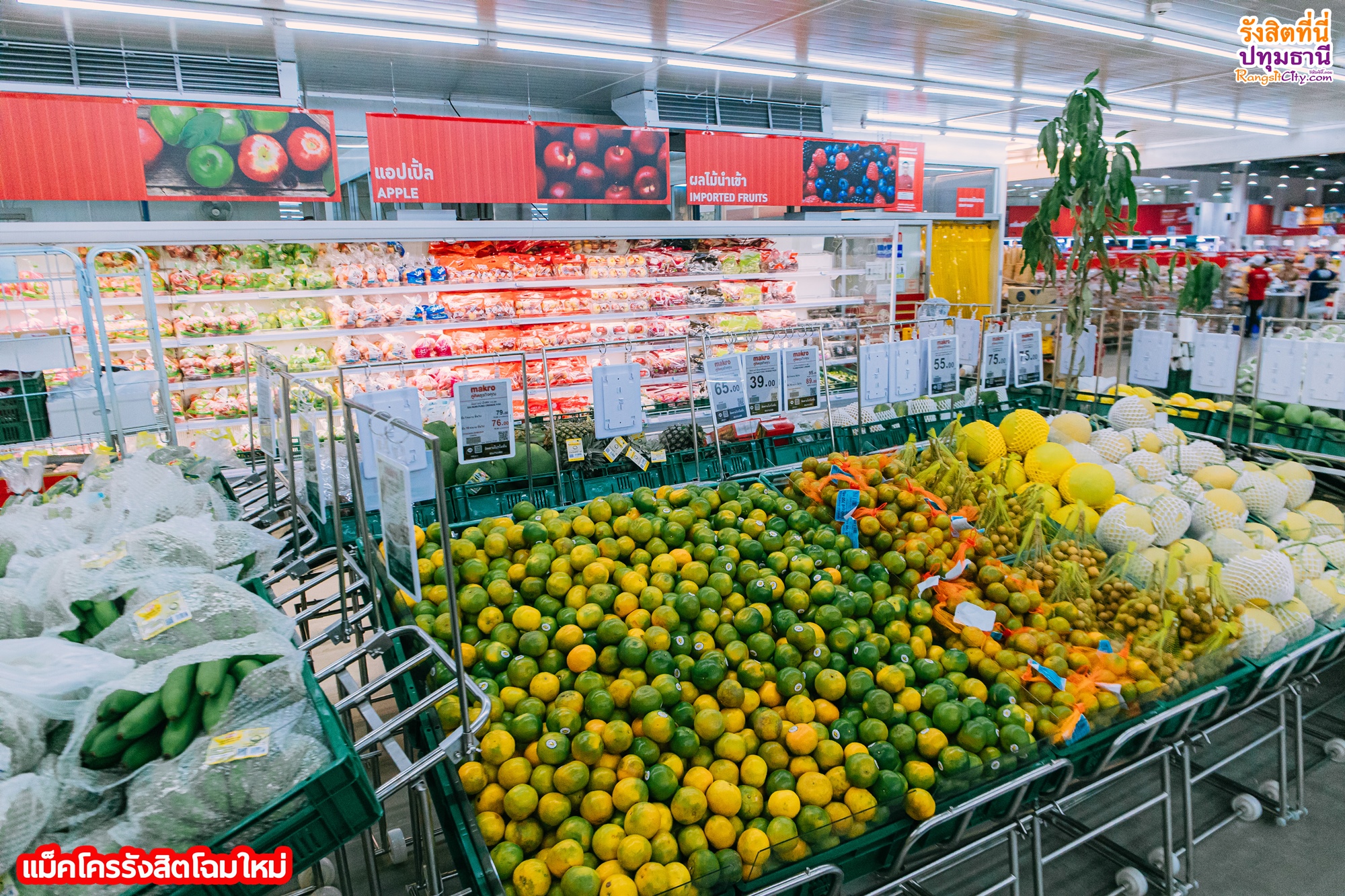 รีวิว : Makro Rangsit... - รังสิตซิตี้ที่นี่ปทุมธานี | Facebook
