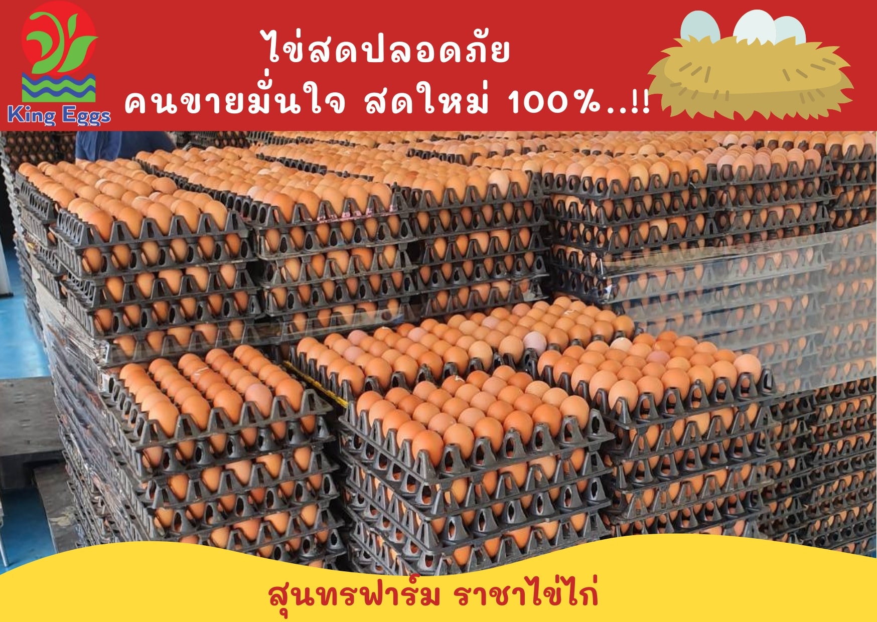 คิงส์ เอ้กส์ - ราชาไข่ไก่ - King Eggs - #ไข่สดปลอดภัย คนขายมั่นใจสดใหม่ ...