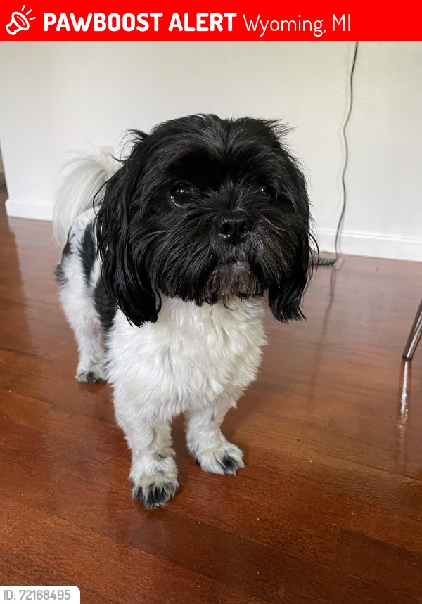 【新品タグ付】she tokyo suzy dark gray 36 UPDATE: REUNITED!! Suzy is home safe & sound after 2 days, 7 hours