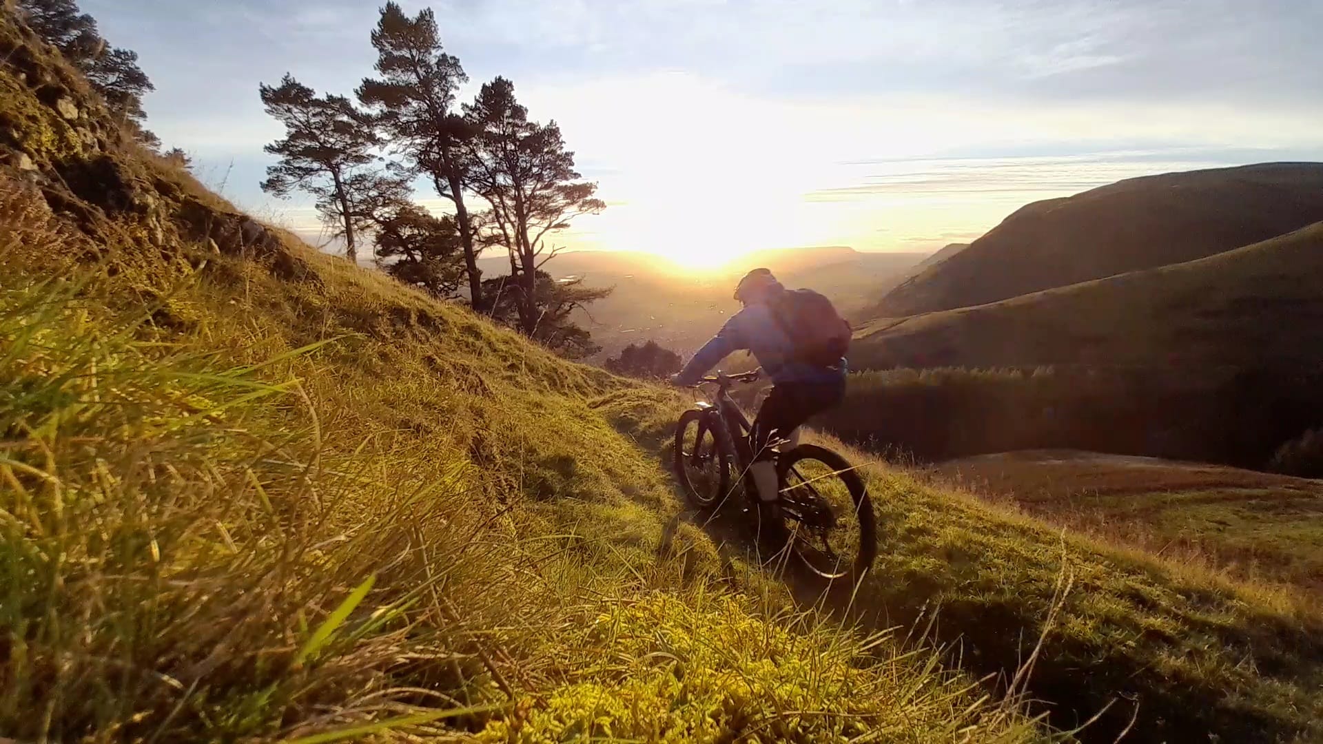 Real World Riding