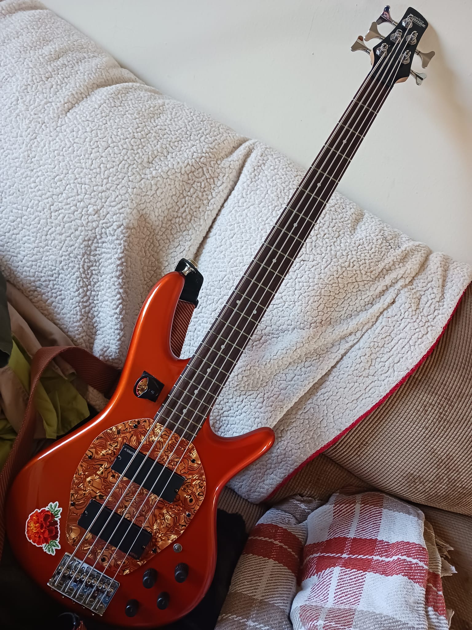 Ibanez SR205 and SR505 bass guitars with EMG pickups