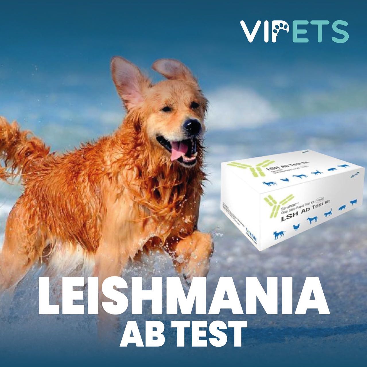 Vipets - La leishmaniosis canina es una enfermedad...