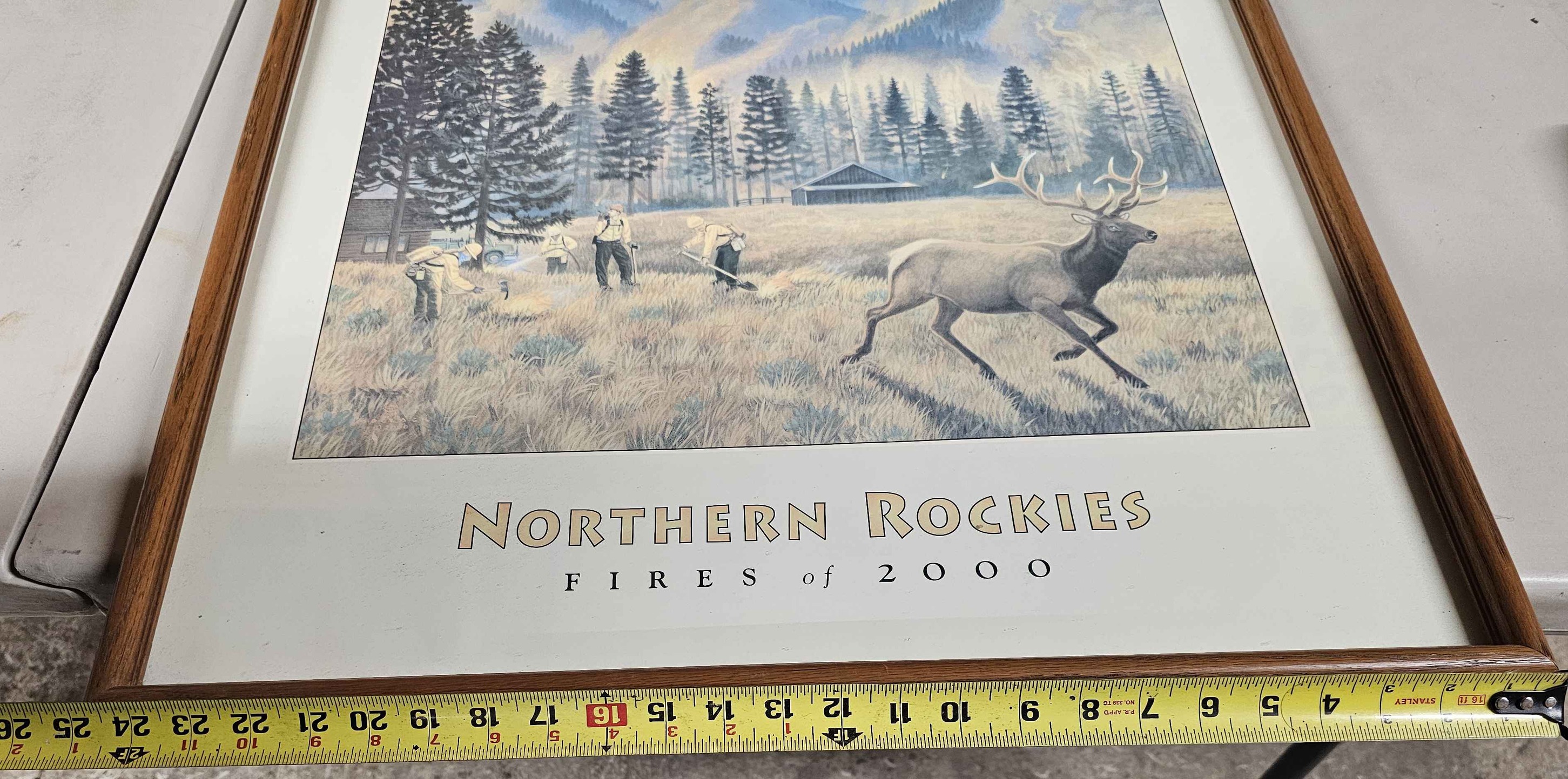 Northern Rockies Fires of 2000 by Monte Dolack framed print - Posters ...