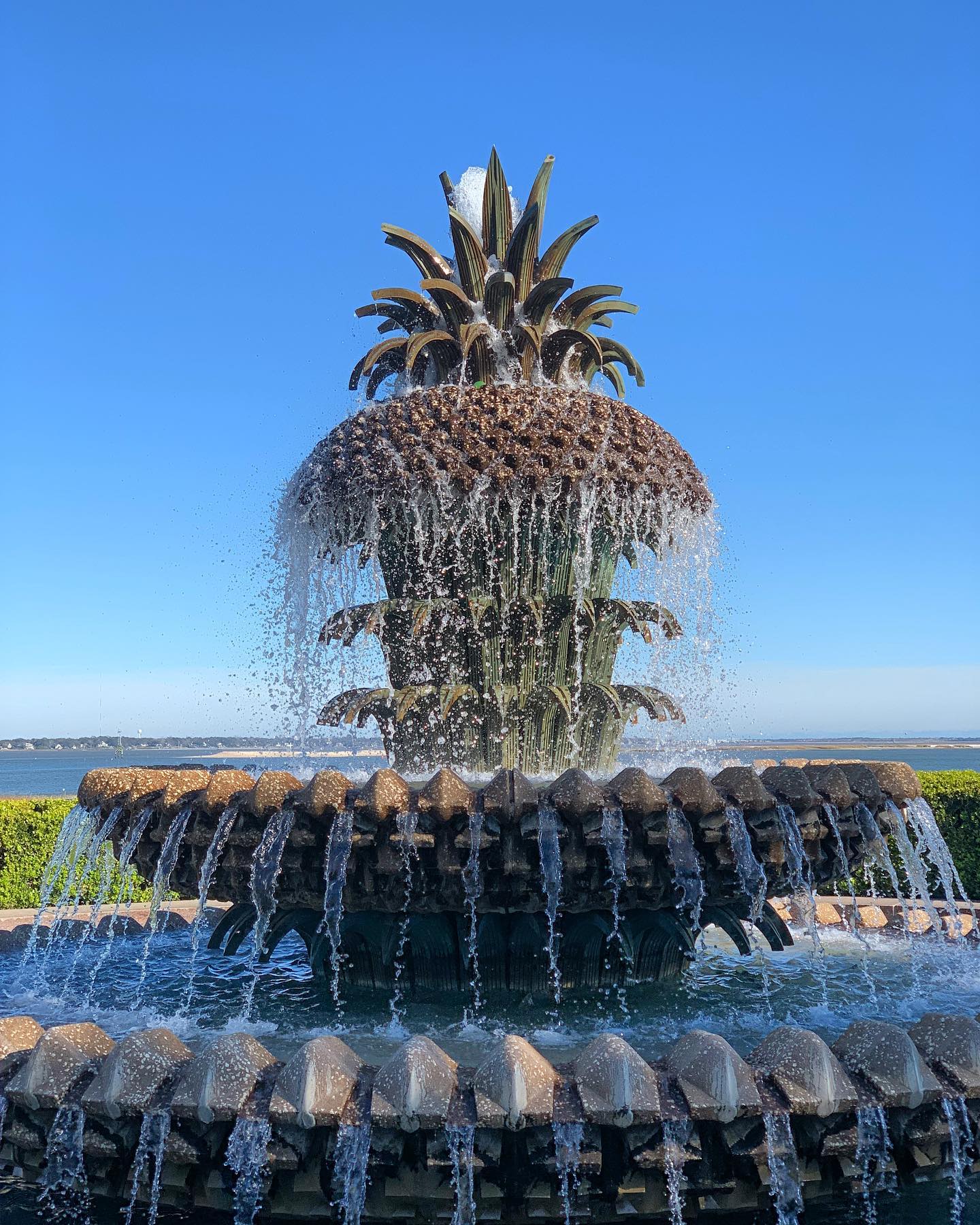 secretlocalhangout - The pineapple is a symbol recognized through the ...