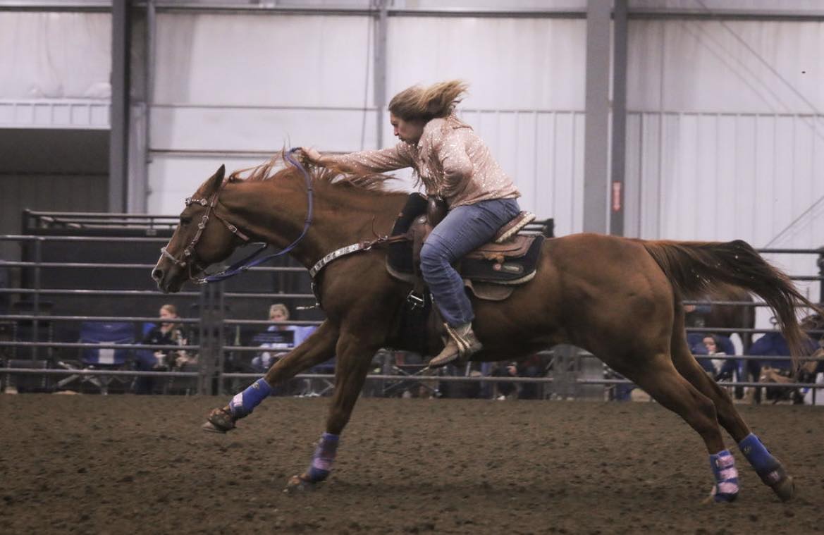Precision Equine, LLC added a new... - Precision Equine, LLC