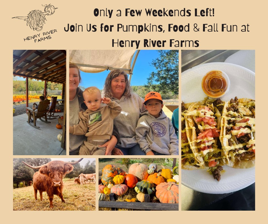 Henry River Farms | Morganton NC