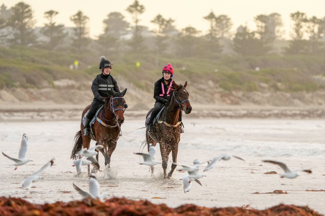 Racing - 📣 Love riding horses!? Join our FREE Trackwork Rider Training ...