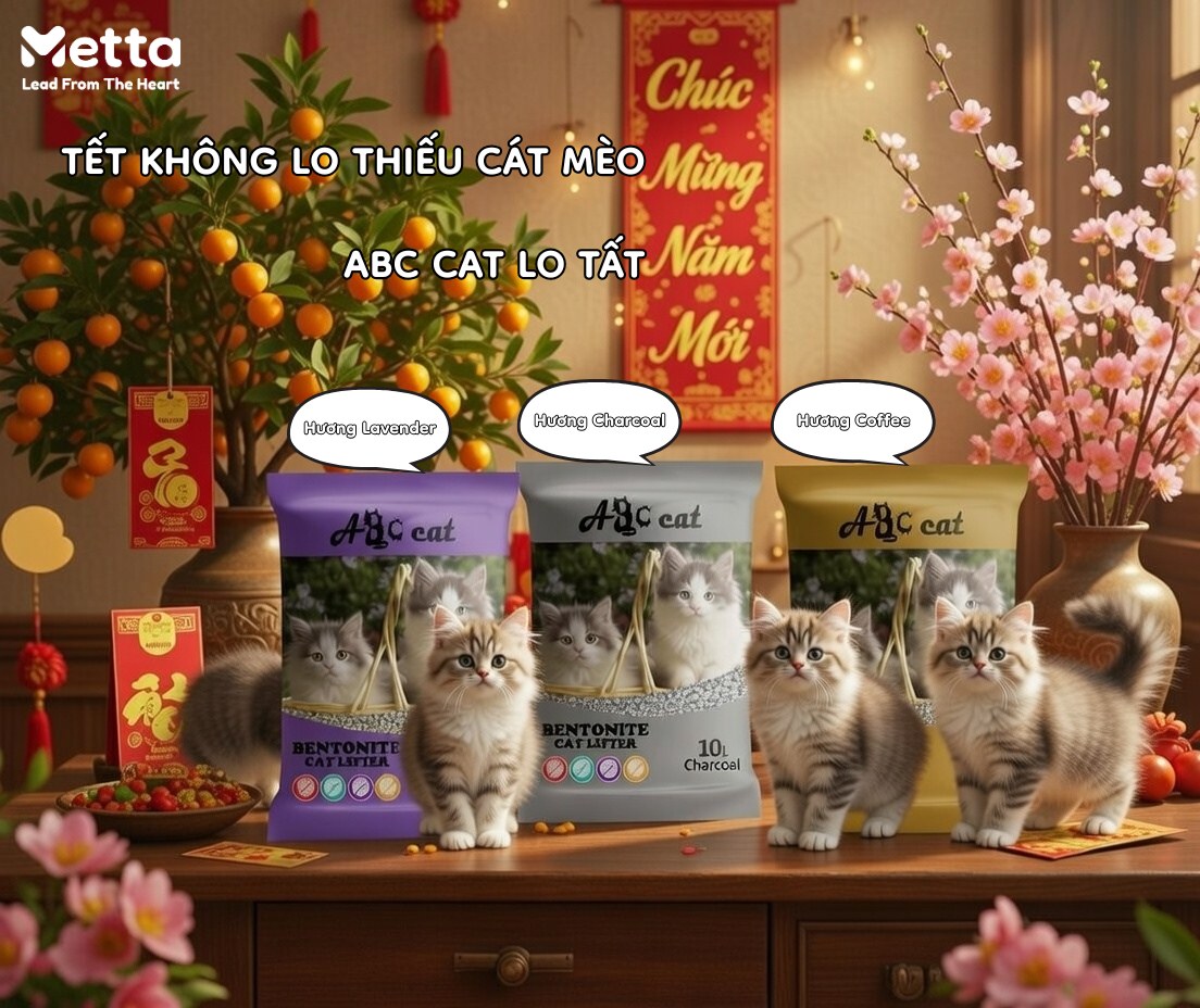 Metta Petcare | Ho Chi Minh City