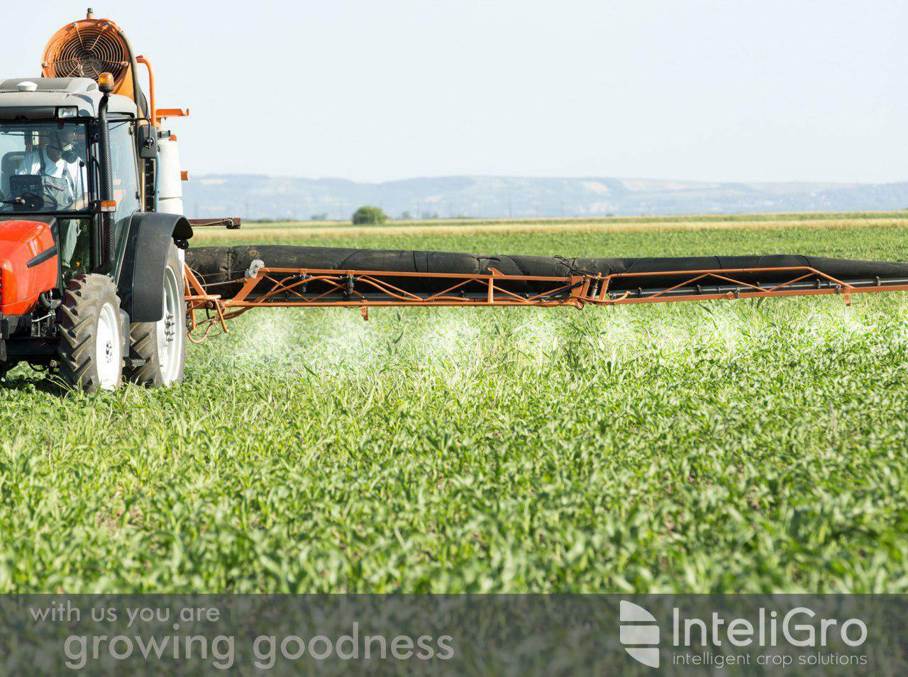 InteliGro - At InteliGro we are committed to the... | Facebook