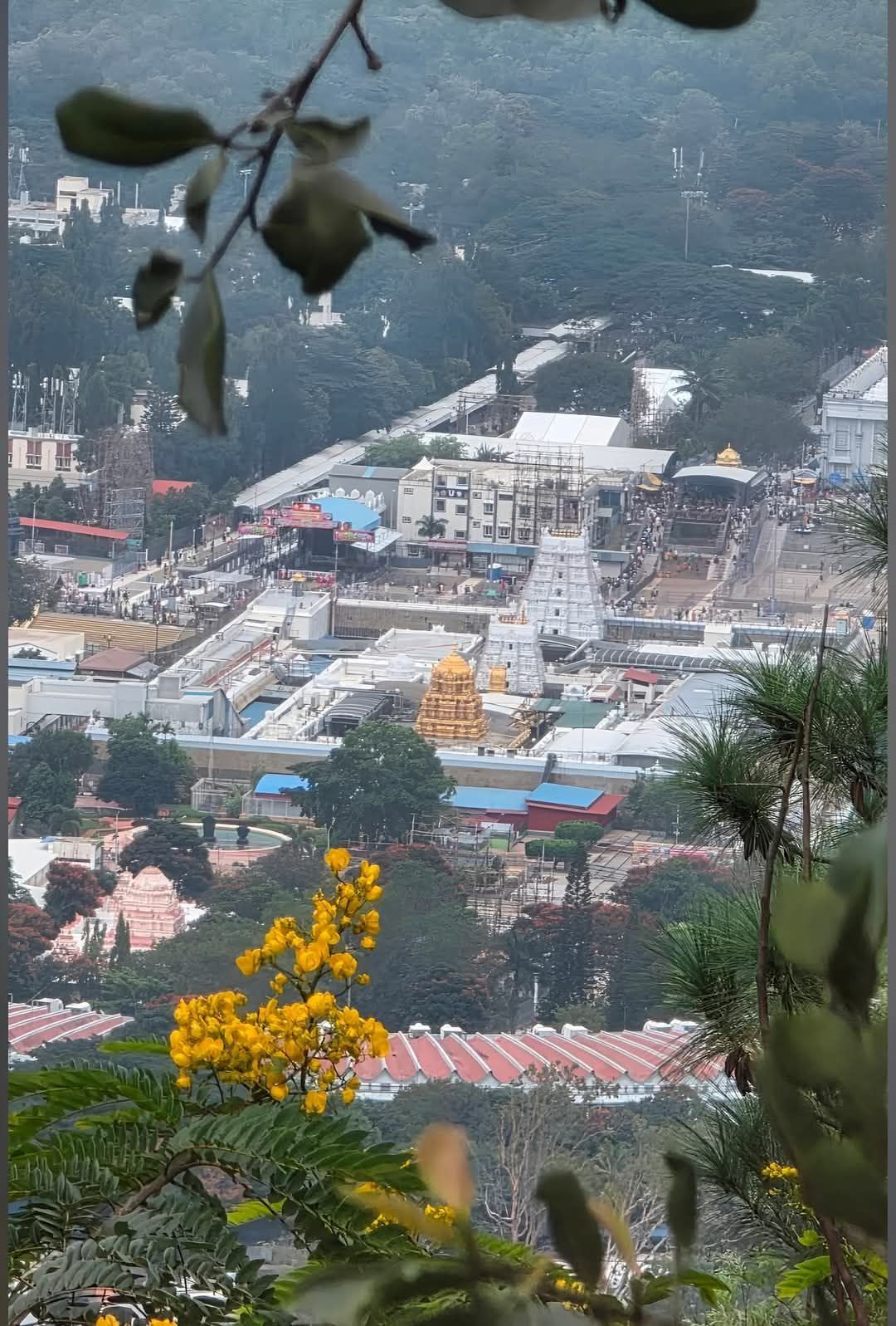 INDIA Travel Tourism🇮🇳 | Tirupati Tirumala, Andhra Pradesh, India 🇮🇳🤎🙏 ...