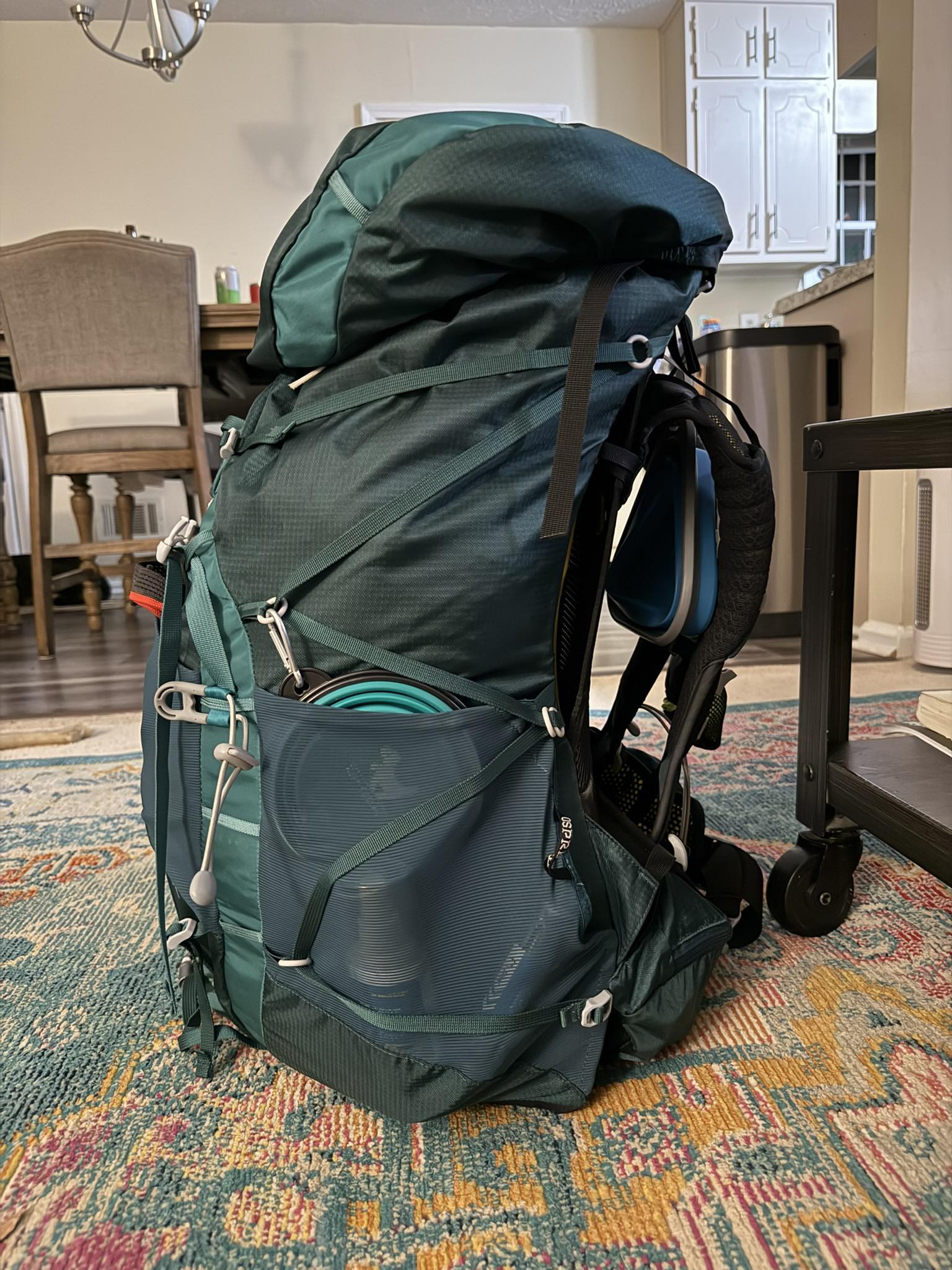 osprey backpack release date Daylite Plus Tumbleweed Yellow/Tunnel Vision Rolling Duffel Bags A 14 laptop sleeve Color:Fuchsia Kane Kids Mini Backpack