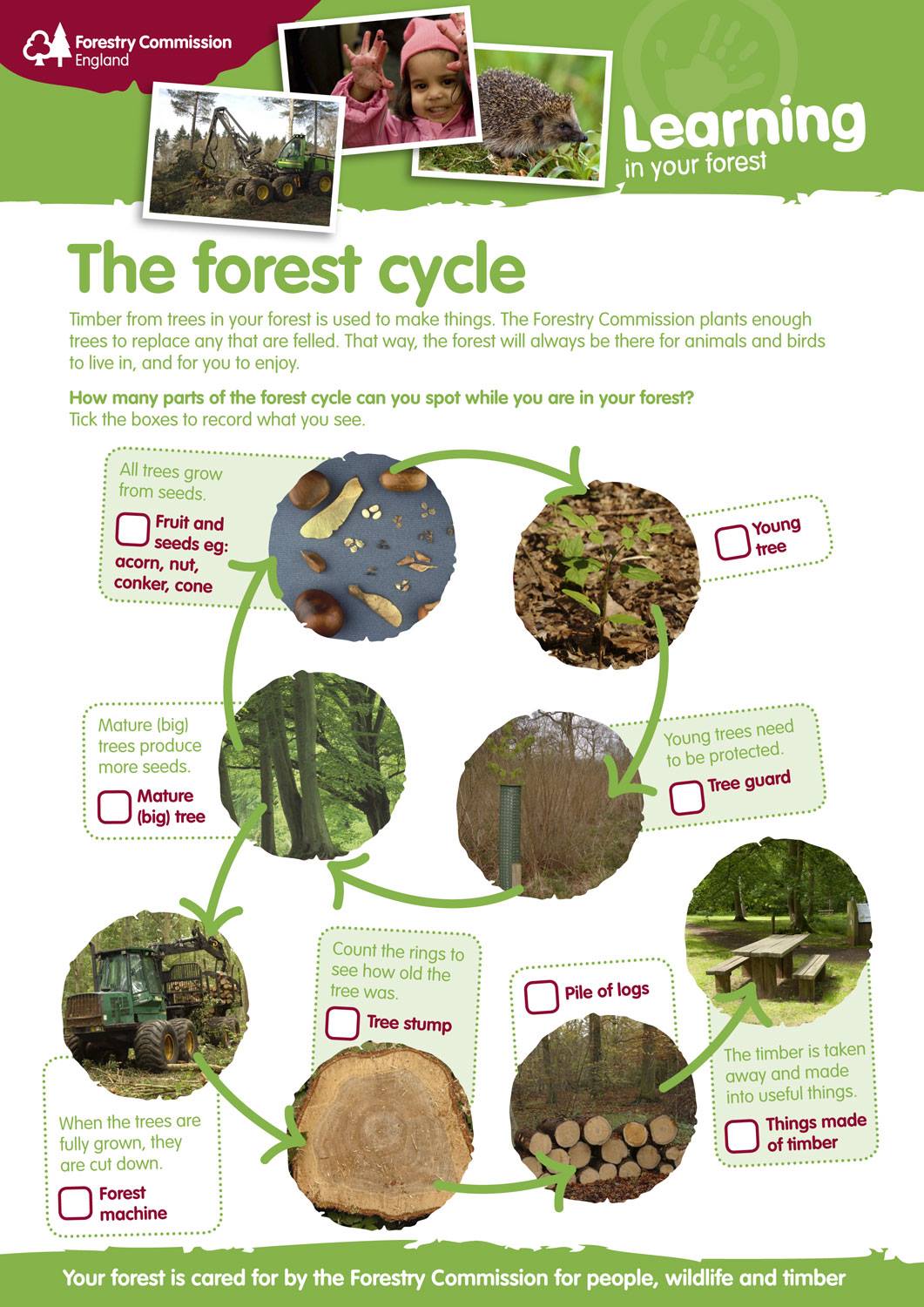 alice-holt-forest-forestry-england-here-are-some-ideas-to-plan-your