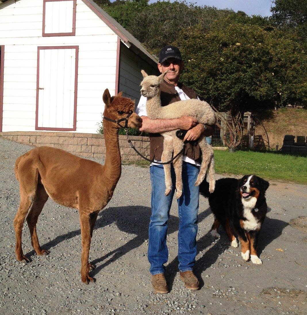 101 Alpacas Ranch | Prunedale CA