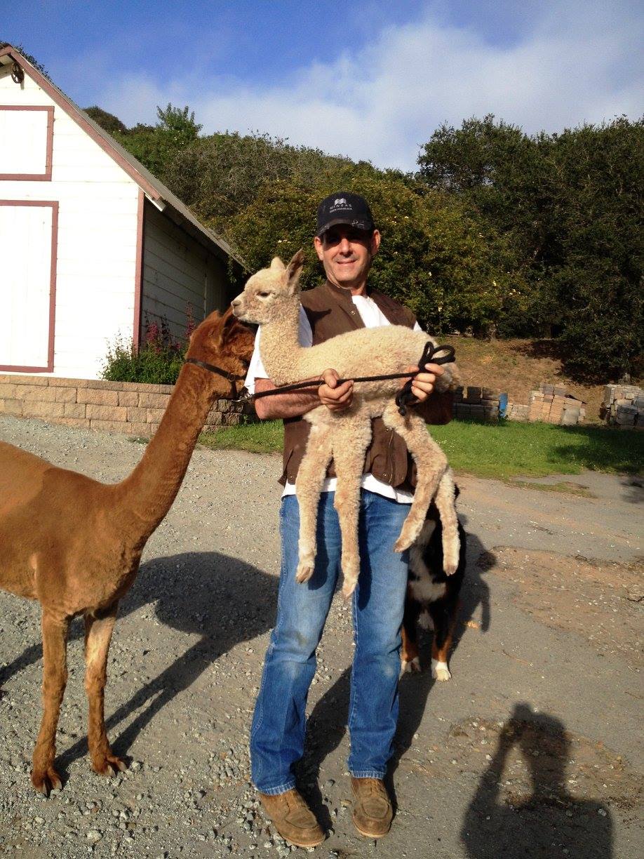 101 Alpacas Ranch | Prunedale CA