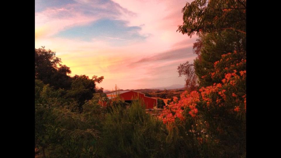 The Retro Ranch | Temecula CA