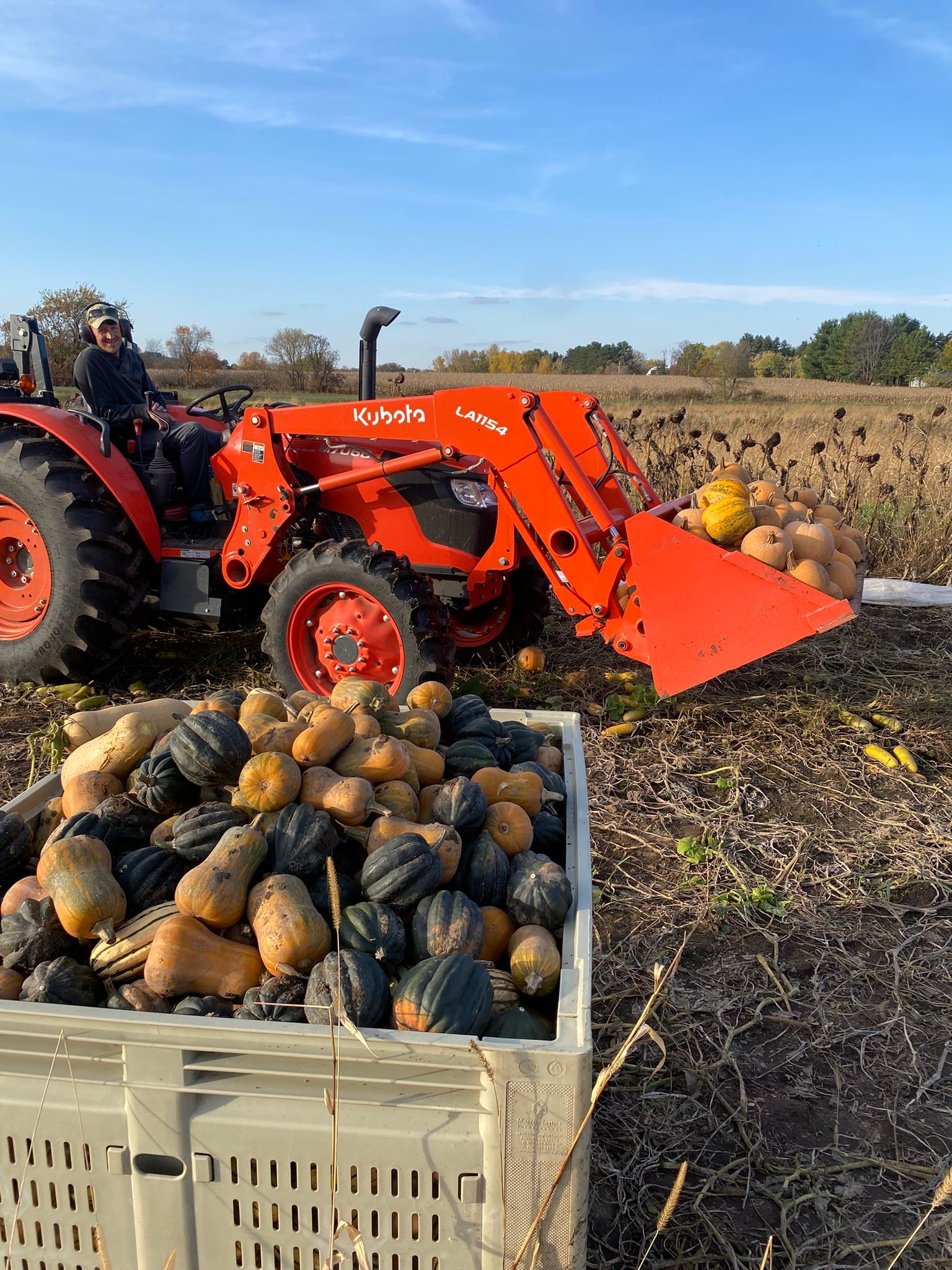 Square Roots Farm | Fall Creek WI