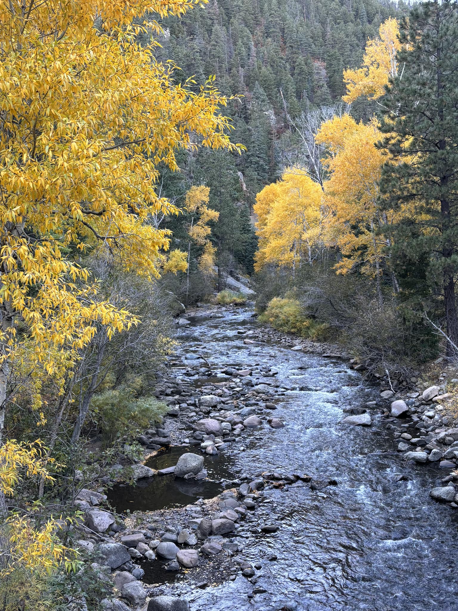 Berardinelli Family Funeral Service | Santa Fe NM